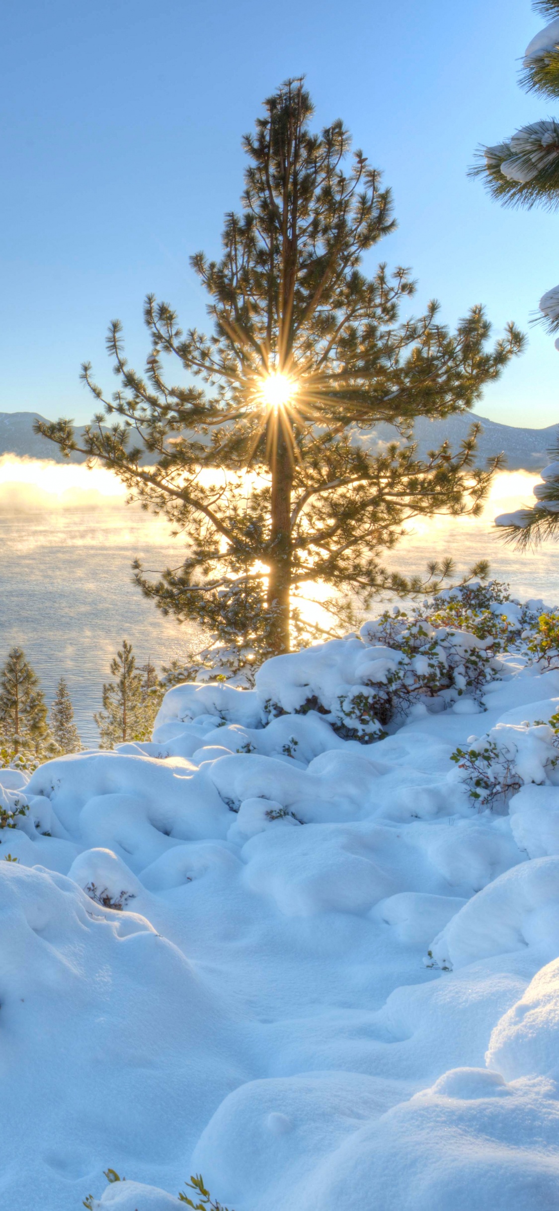 Campo Cubierto de Nieve Cerca de Árboles Verdes y Cuerpo de Agua Durante el Día. Wallpaper in 1125x2436 Resolution