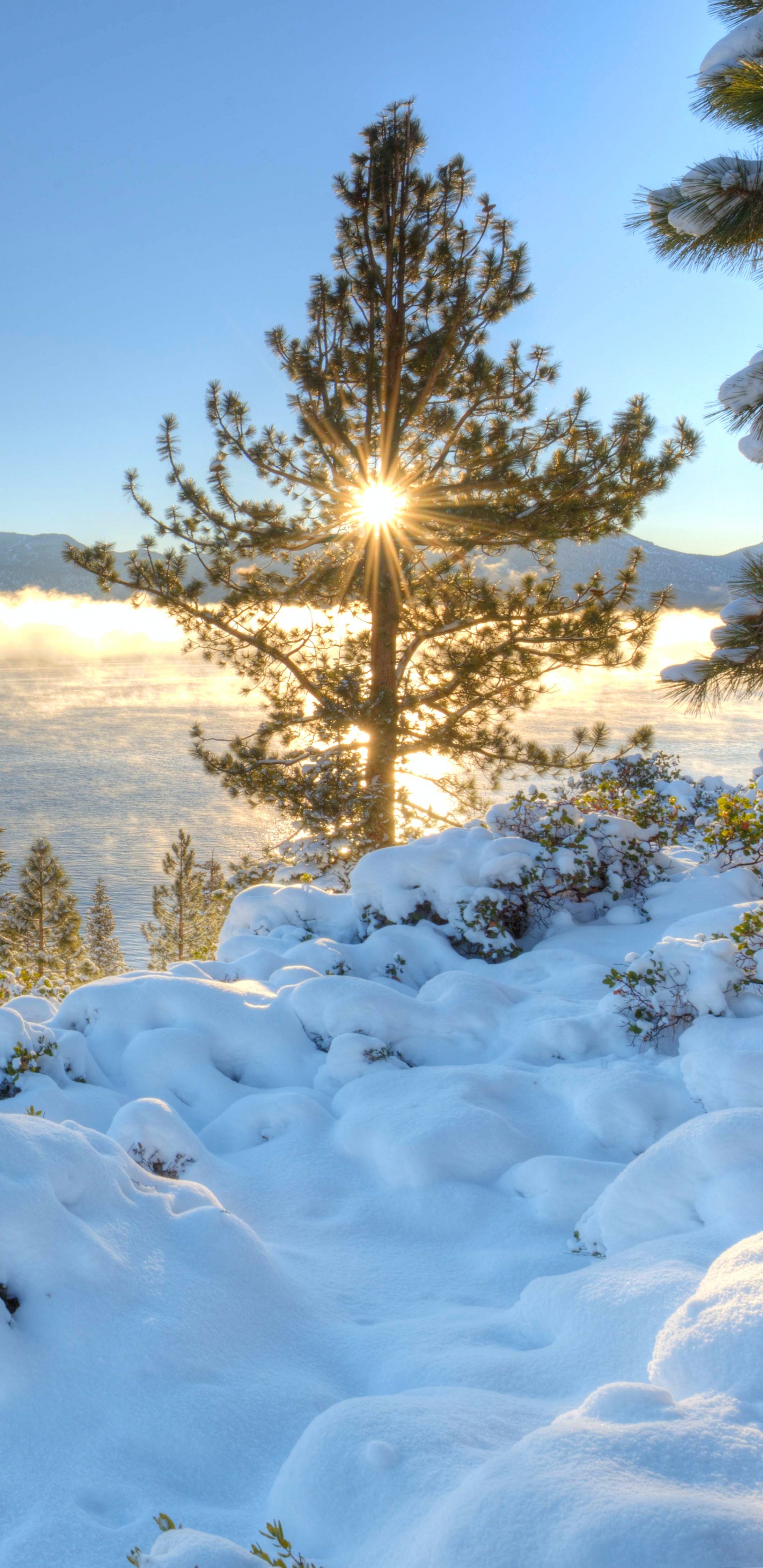 Campo Cubierto de Nieve Cerca de Árboles Verdes y Cuerpo de Agua Durante el Día. Wallpaper in 1440x2960 Resolution