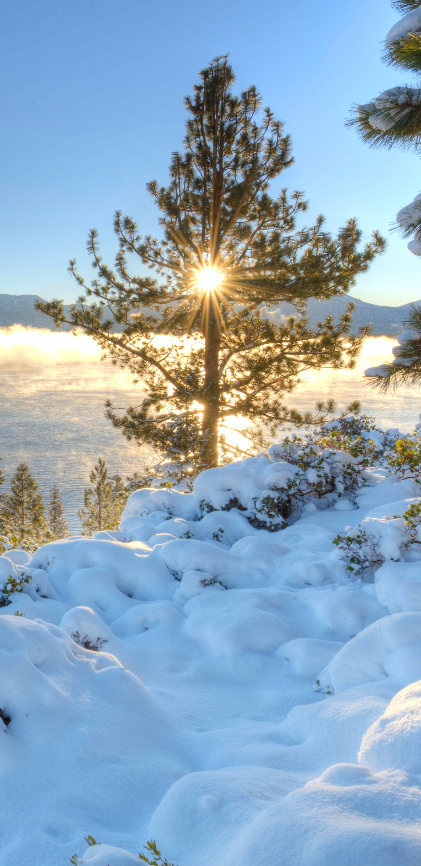 Snow Covered Field Near Green Trees and Body of Water During Daytime. Wallpaper in 1440x2960 Resolution