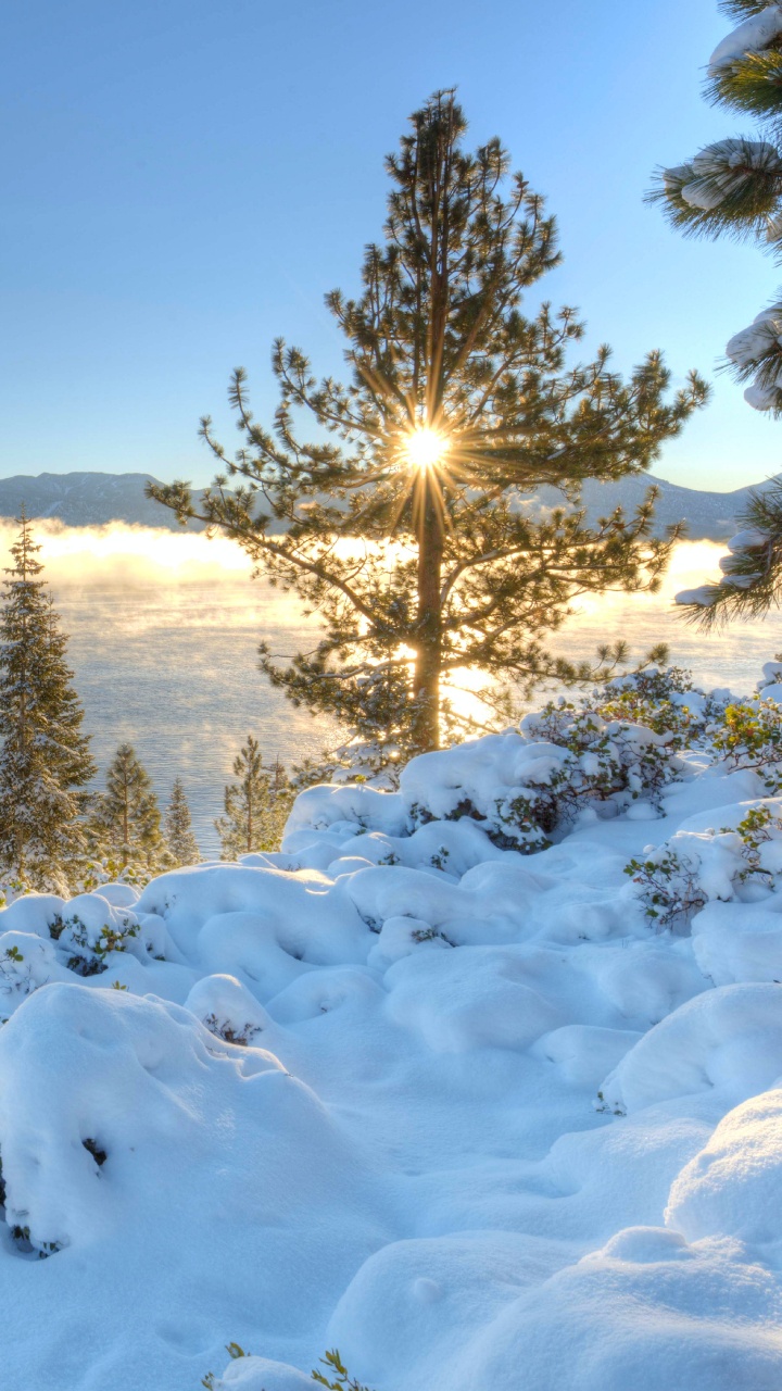 Snow Covered Field Near Green Trees and Body of Water During Daytime. Wallpaper in 720x1280 Resolution