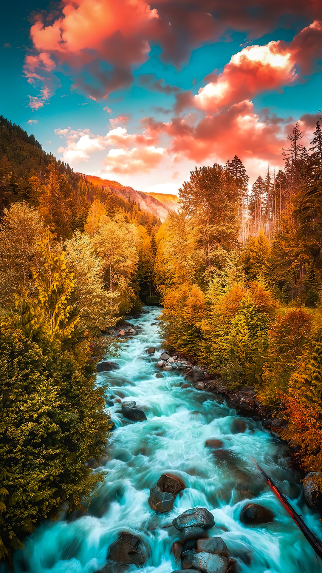 Alerce, Agua, Azul, Paisaje Natural, Entorno Natural. Wallpaper in 1080x1920 Resolution