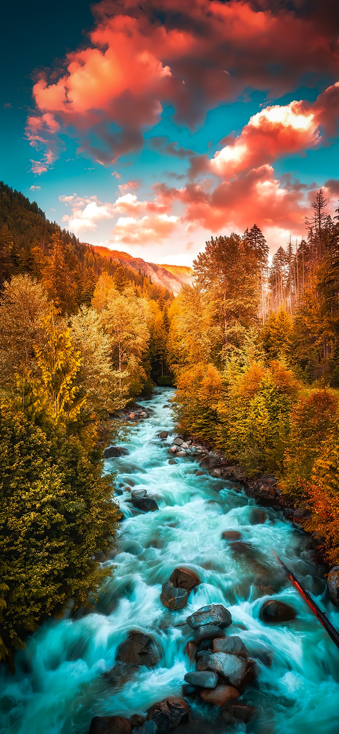 Larch, Cloud, Water, Blue, Natural Landscape. Wallpaper in 1125x2436 Resolution