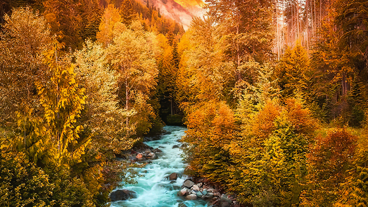 Larch, Cloud, Water, Blue, Natural Landscape. Wallpaper in 1280x720 Resolution
