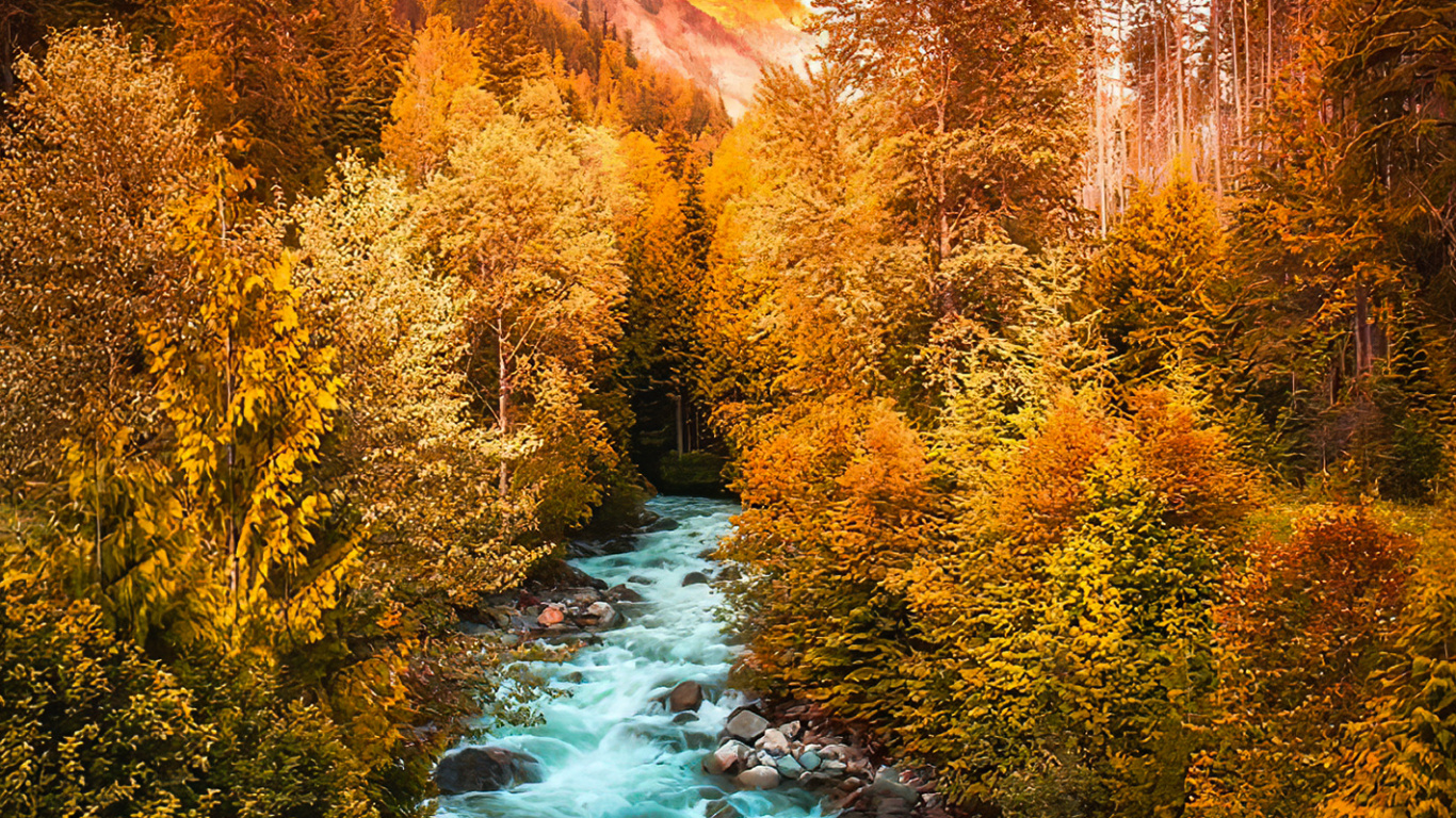 Larch, Cloud, Water, Blue, Natural Landscape. Wallpaper in 1366x768 Resolution