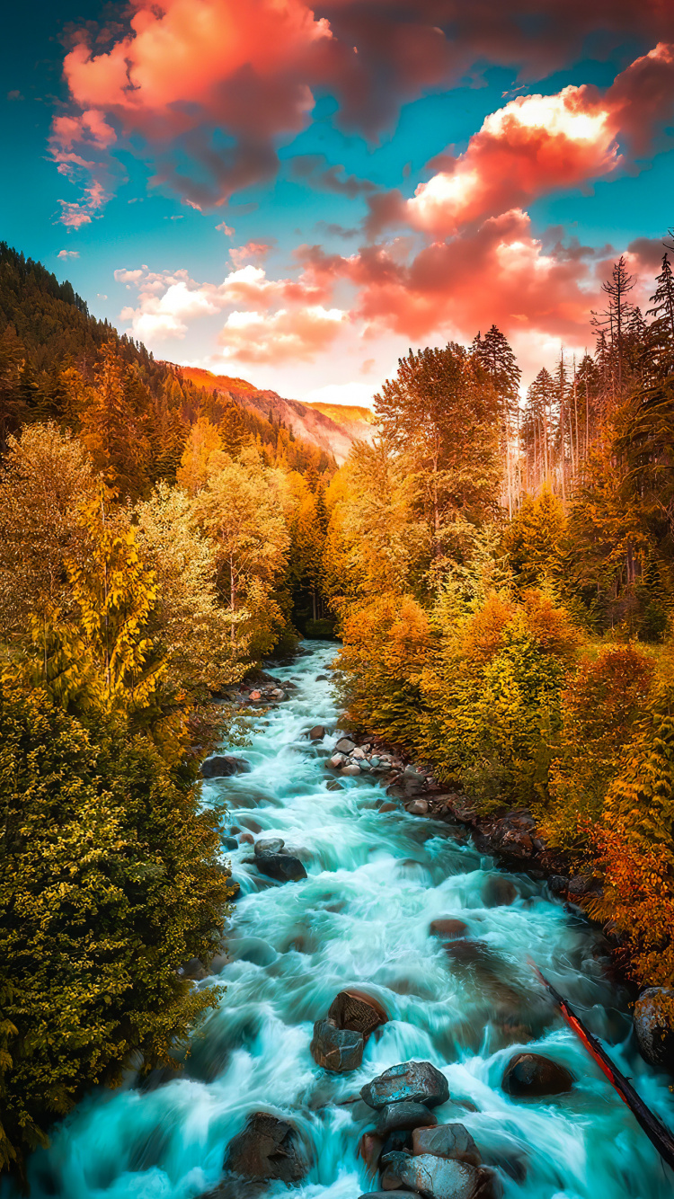Larch, Cloud, Water, Blue, Natural Landscape. Wallpaper in 750x1334 Resolution