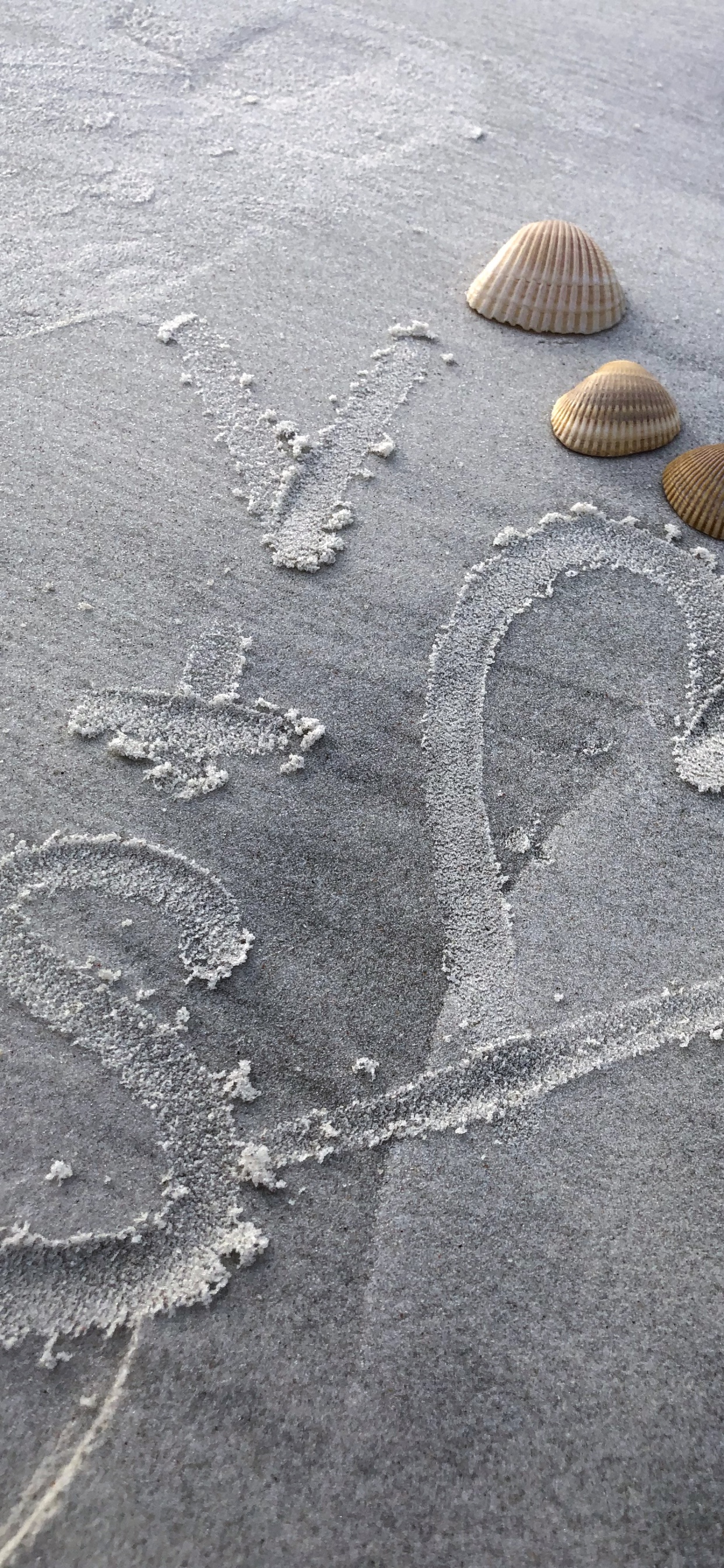 Sand, Eau, Gris, Plage, Tar. Wallpaper in 1242x2688 Resolution