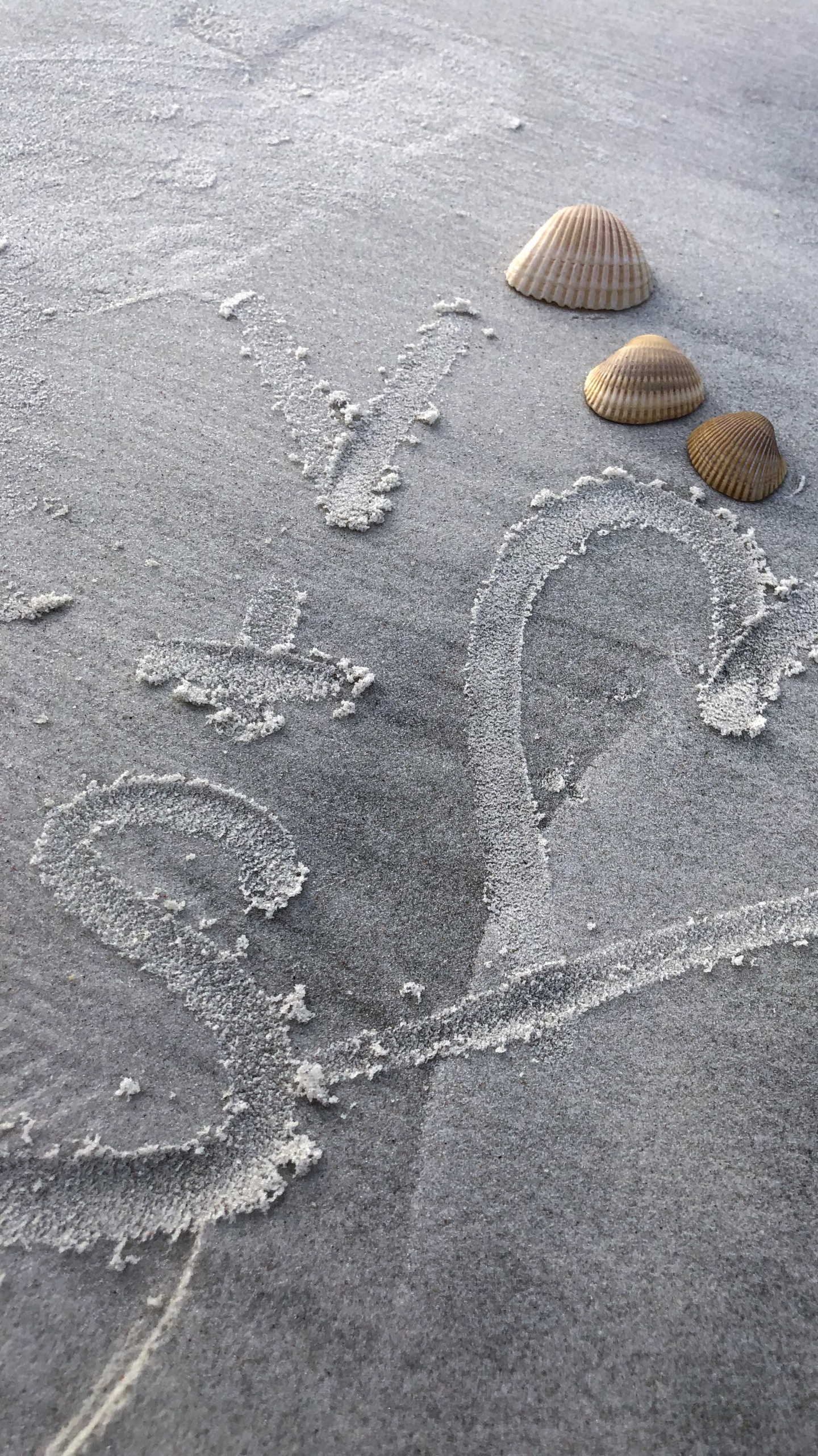 Sand, Eau, Gris, Plage, Tar. Wallpaper in 1440x2560 Resolution