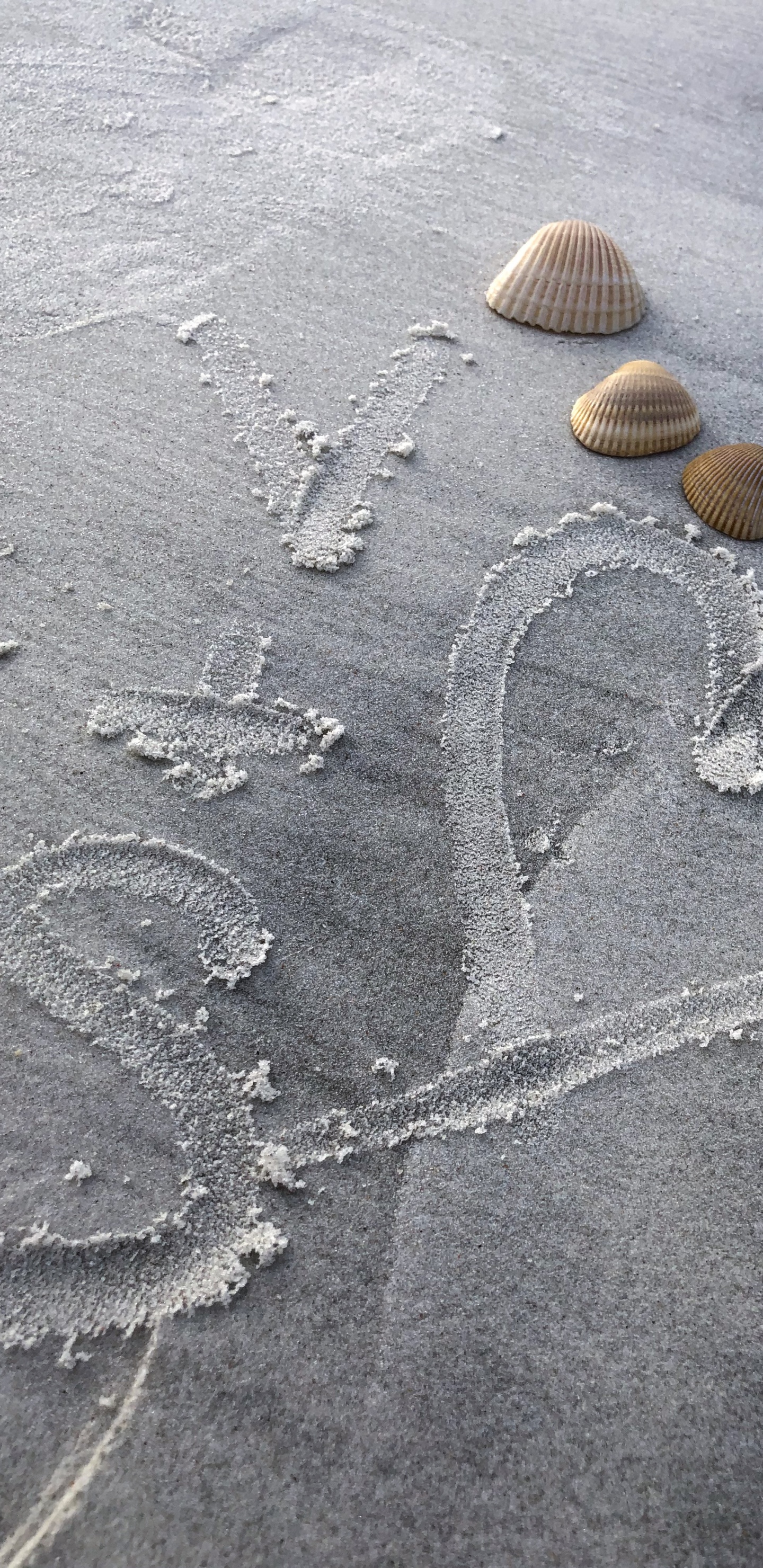 Sand, Wasser, Strand, Teer, Kreis. Wallpaper in 1440x2960 Resolution