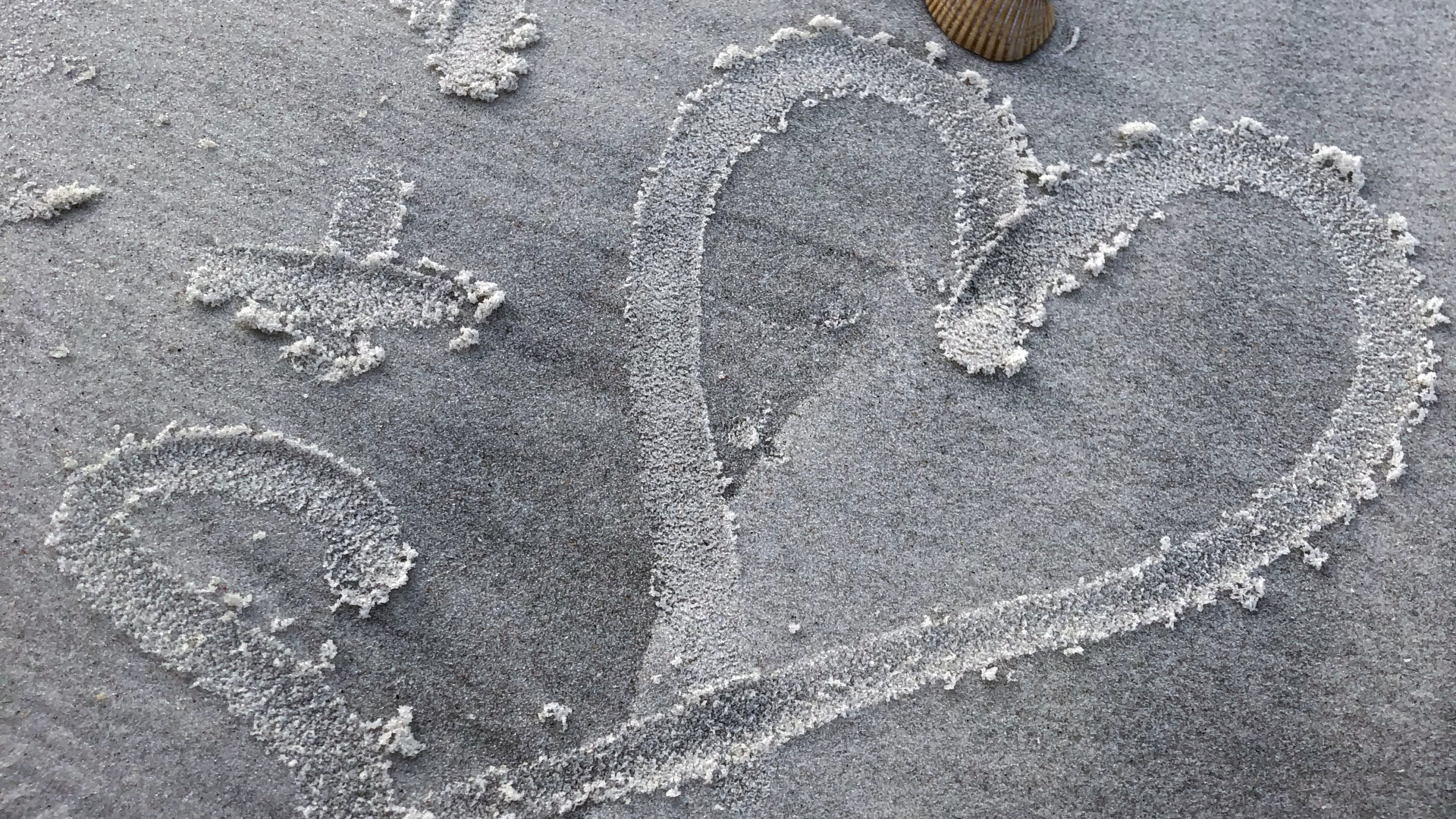 Sand, Water, Grey, Beach, Tar. Wallpaper in 2560x1440 Resolution