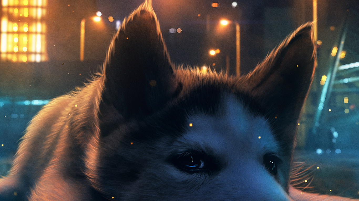 Gran Danés, Ambiente, Luz, Carnívoro, Raza de Perro. Wallpaper in 1366x768 Resolution