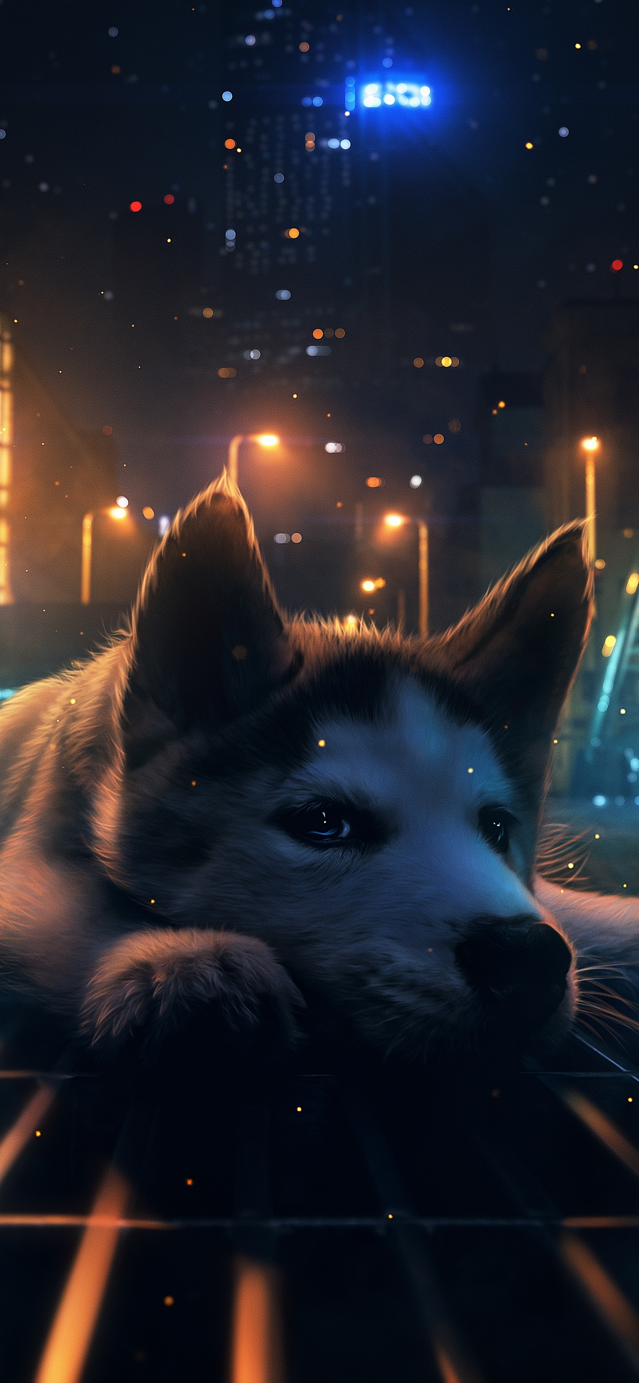 Nacht, Dogge, Atmosphäre, Licht, Carnivore. Wallpaper in 1242x2688 Resolution