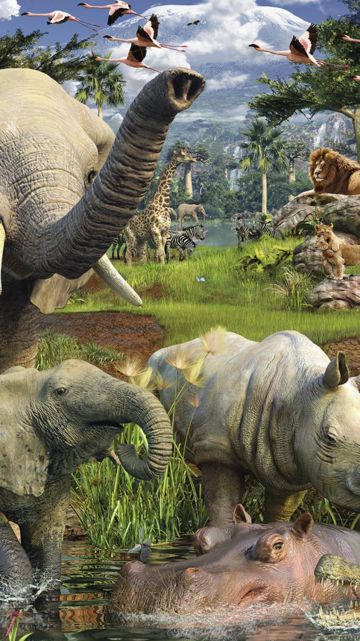 Zebra Und Zebra Auf Der Grünen Wiese Tagsüber. Wallpaper in 720x1280 Resolution