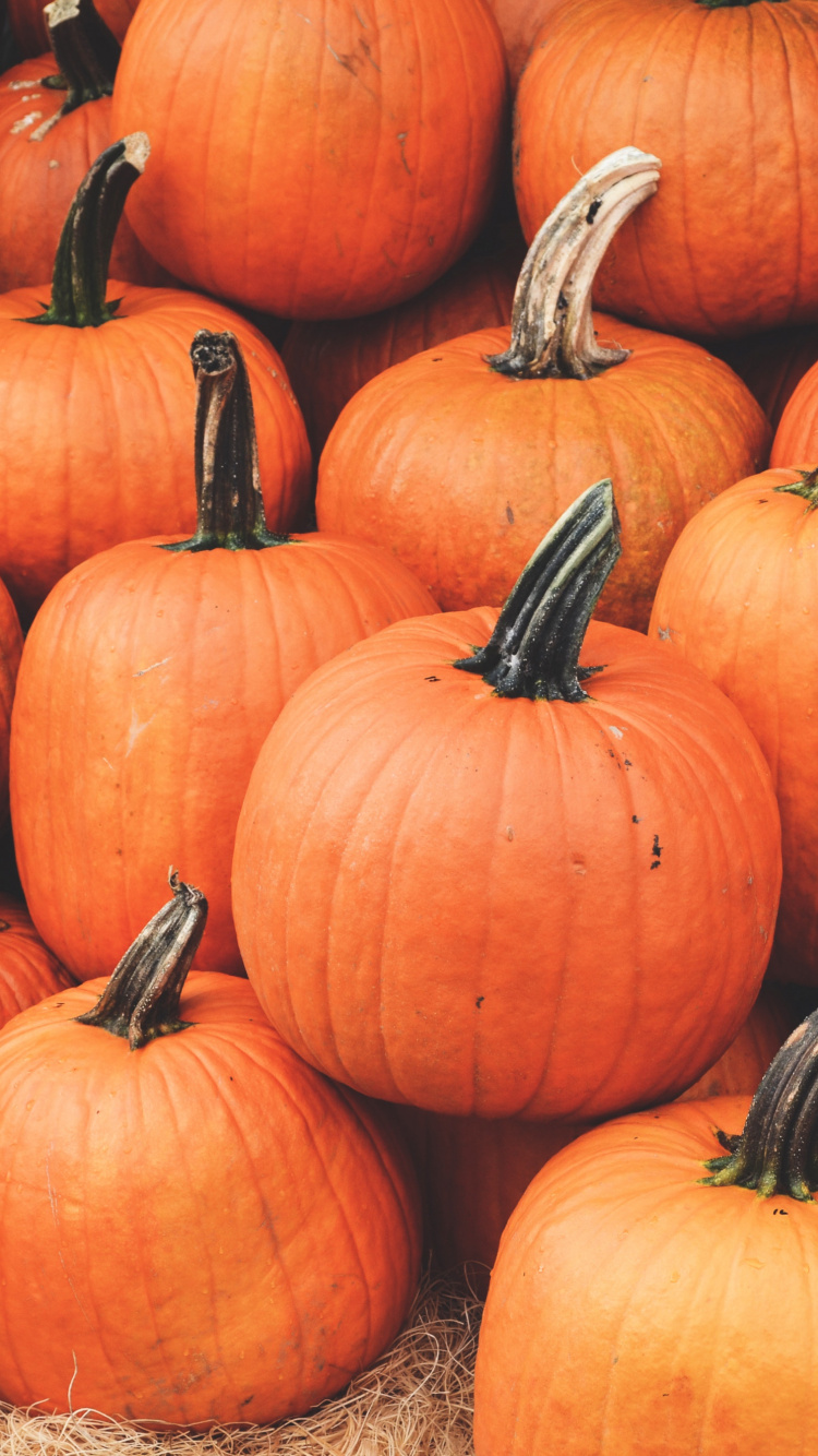 Orange Pumpkins on Brown Dried Leaves. Wallpaper in 750x1334 Resolution