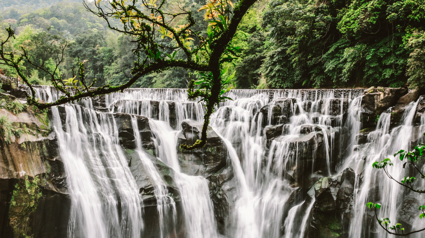 L'eau Tombe Dans la Forêt. Wallpaper in 1366x768 Resolution