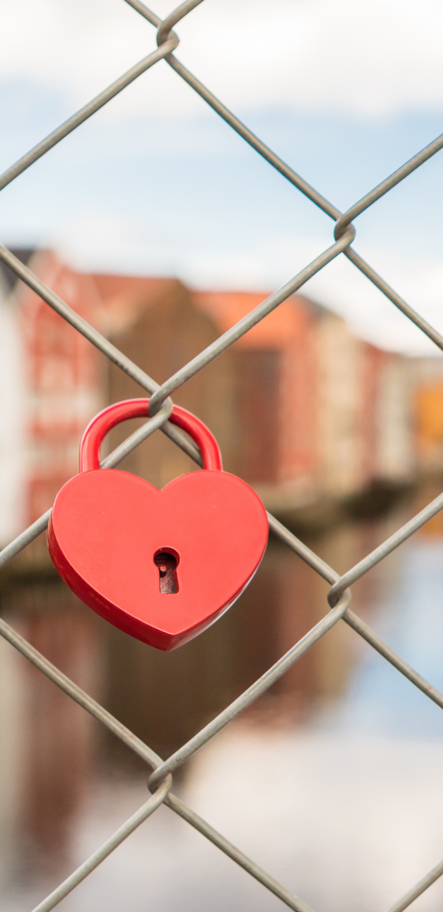 Draht-Fechten, Vorhängeschloss, Sperre, Masche, Zaun. Wallpaper in 1440x2960 Resolution