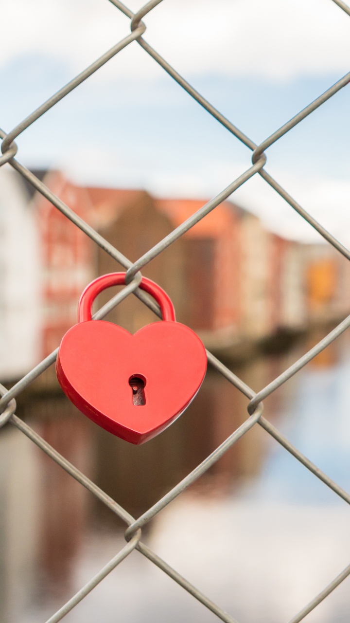 Draht-Fechten, Vorhängeschloss, Sperre, Masche, Zaun. Wallpaper in 720x1280 Resolution