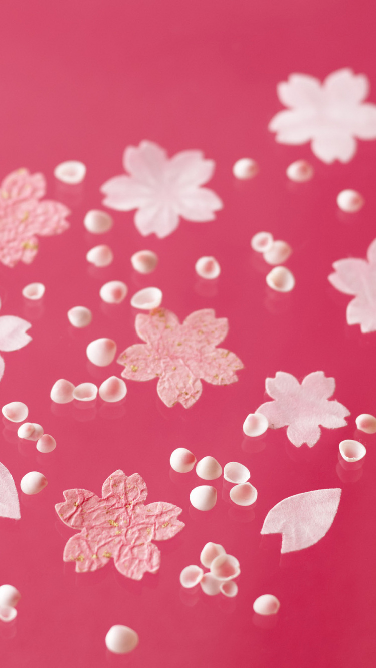 Pink, Pattern, Magenta, Petal, Flower. Wallpaper in 750x1334 Resolution