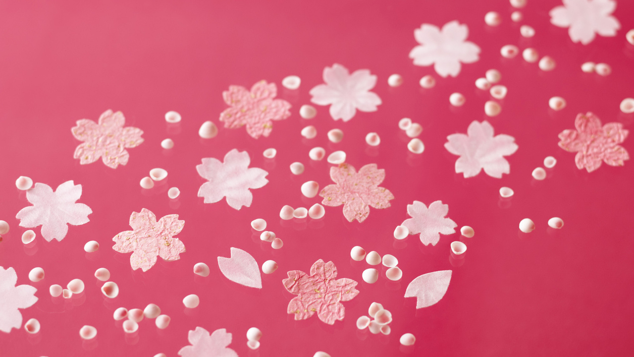 Pink, Magenta, Pétale, Blog, Couleur. Wallpaper in 1280x720 Resolution