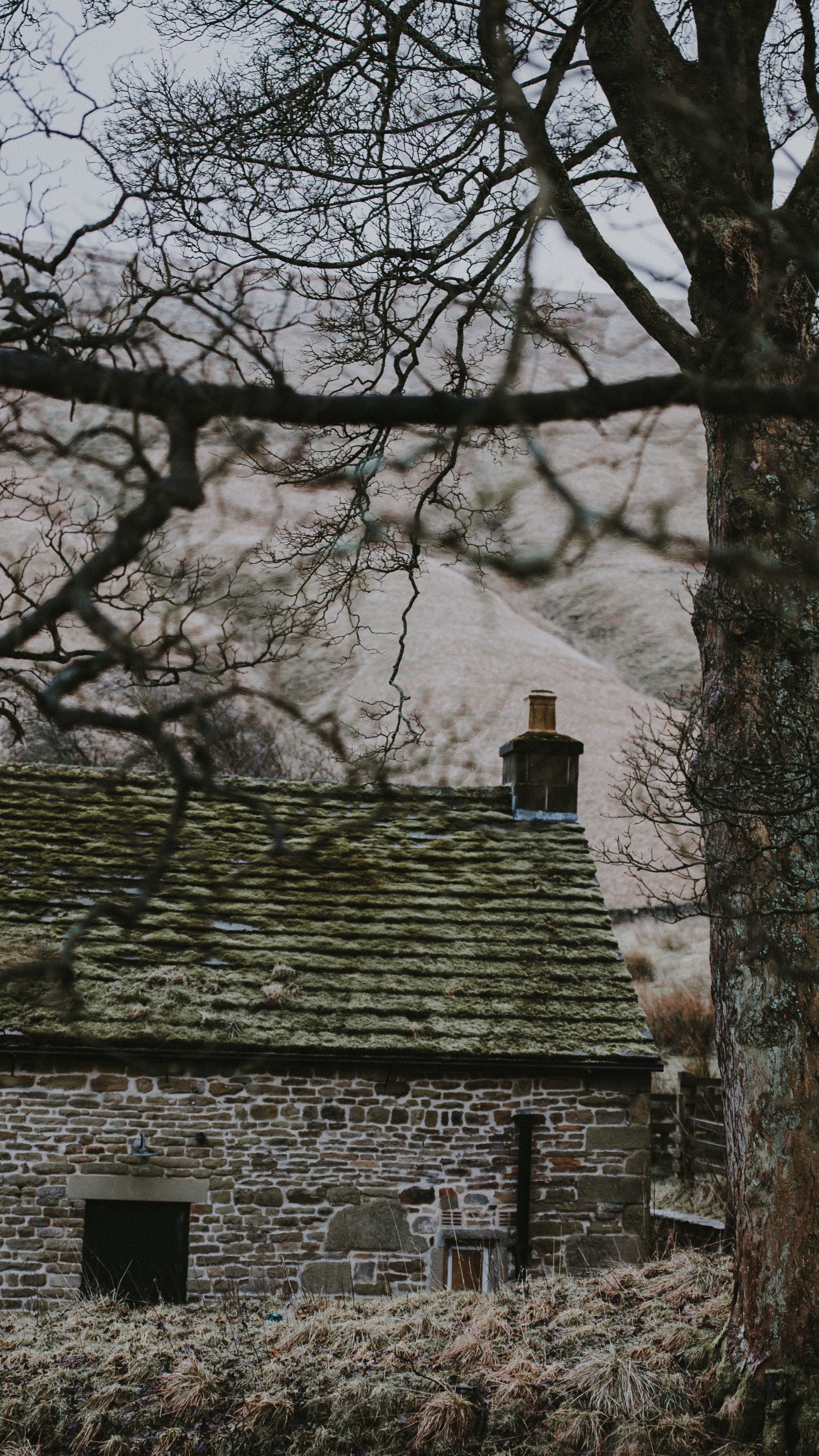 Maison en Béton Gris Près Des Arbres Nus Pendant la Journée. Wallpaper in 1440x2560 Resolution