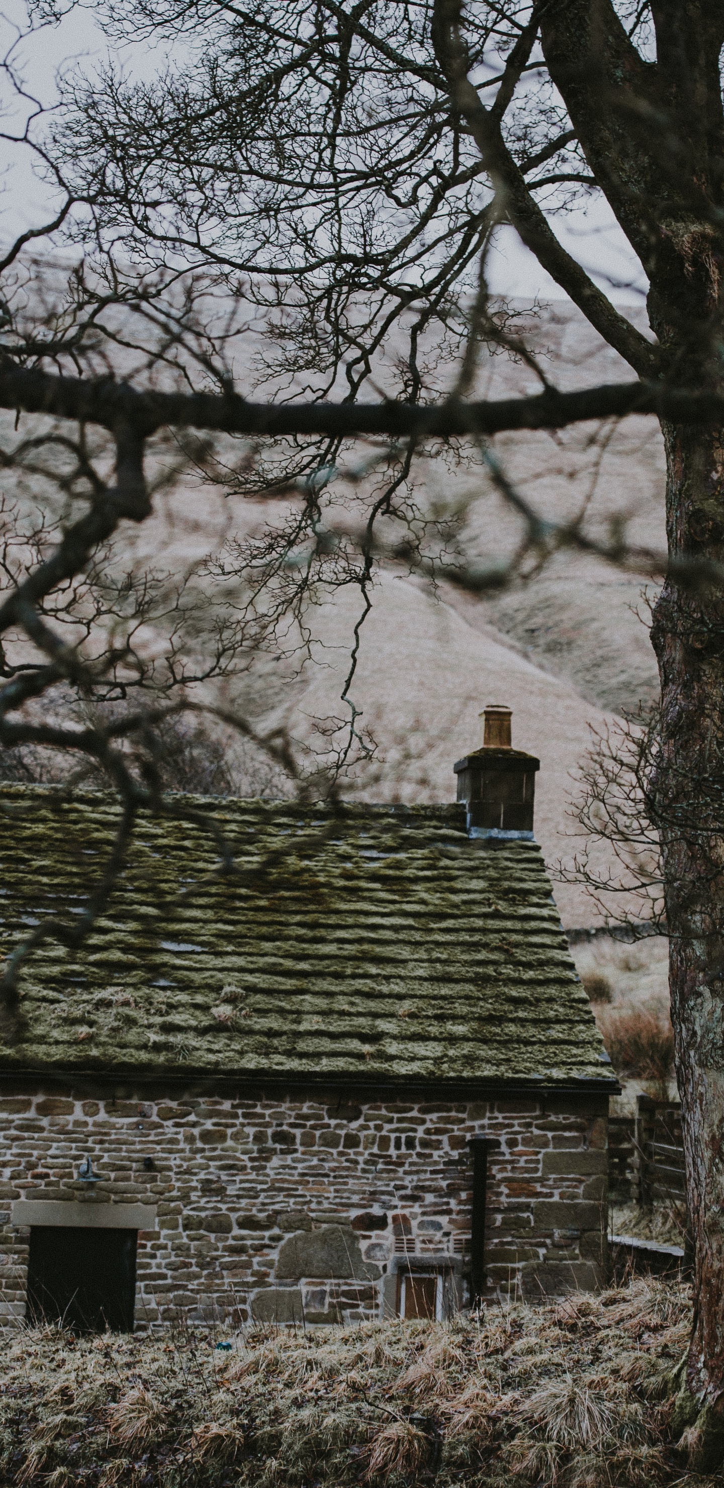 Maison en Béton Gris Près Des Arbres Nus Pendant la Journée. Wallpaper in 1440x2960 Resolution
