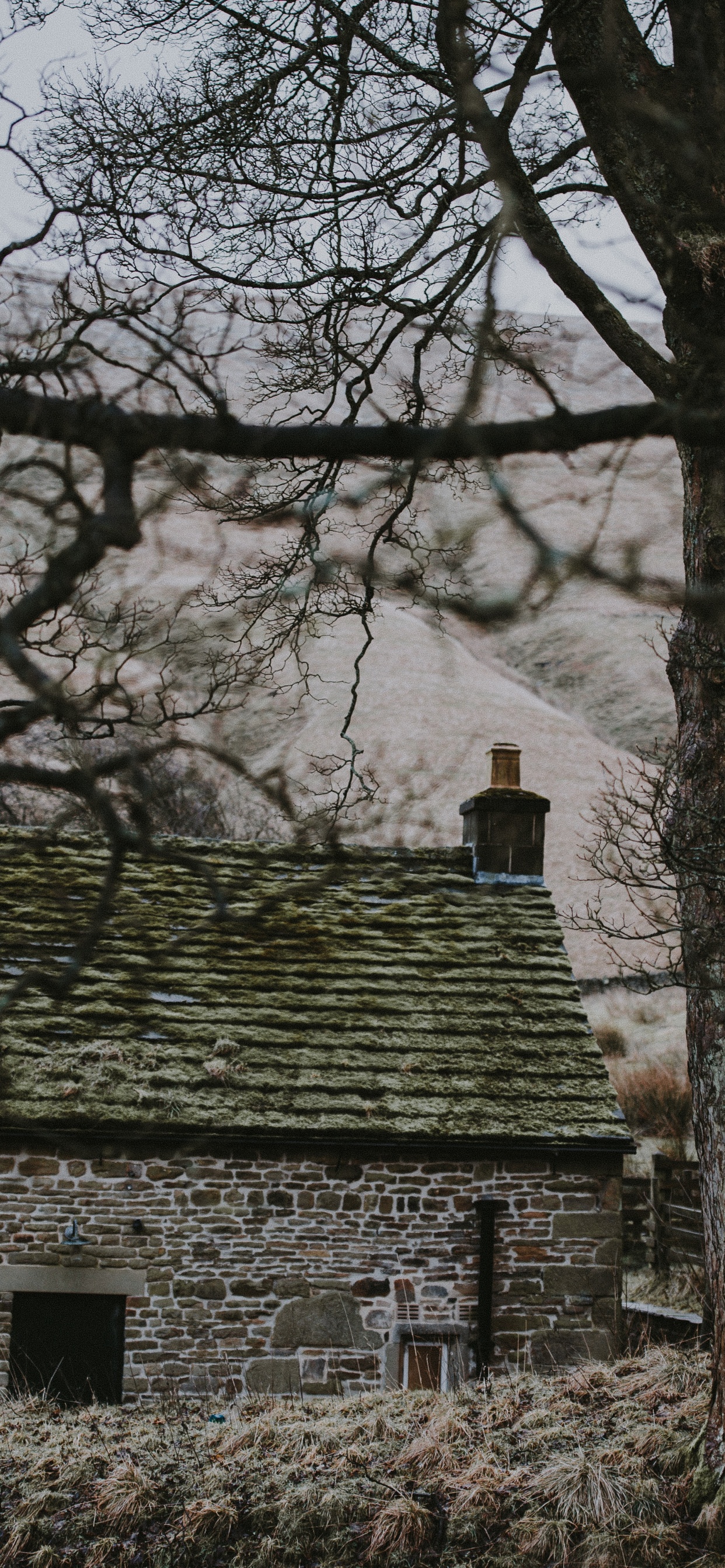 Gray Concrete House Near Bare Trees During Daytime. Wallpaper in 1242x2688 Resolution