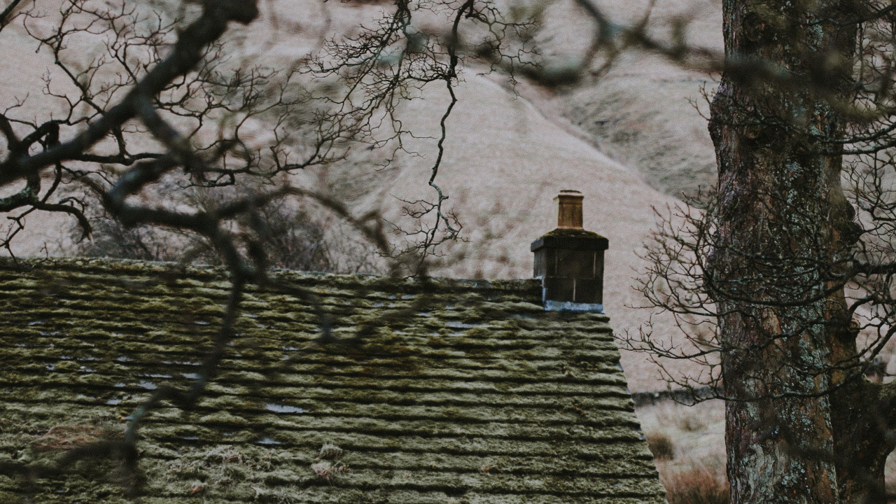 Gray Concrete House Near Bare Trees During Daytime. Wallpaper in 1280x720 Resolution