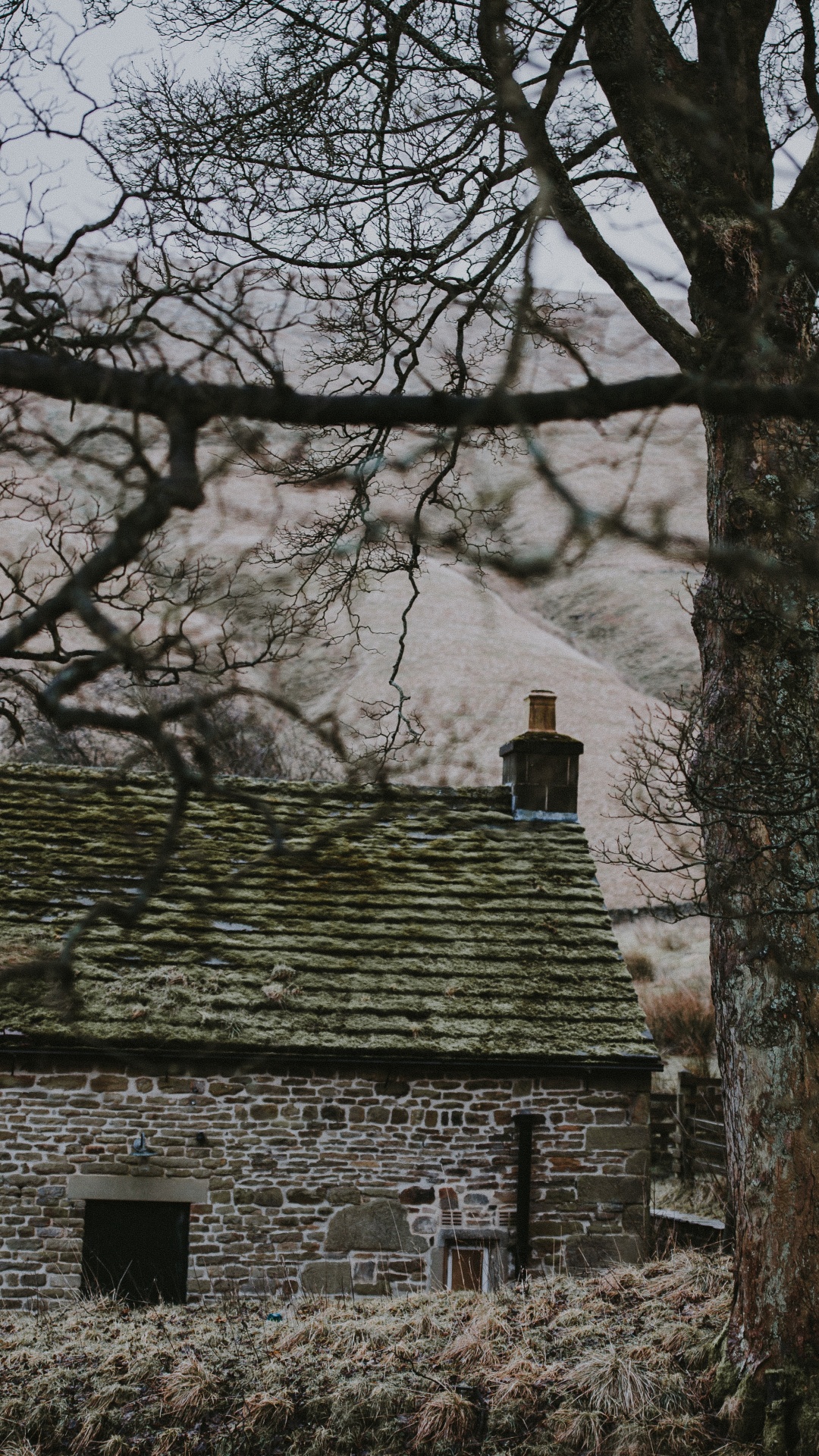 Graues Betonhaus in Der Nähe Von Kahlen Bäumen Tagsüber. Wallpaper in 1080x1920 Resolution