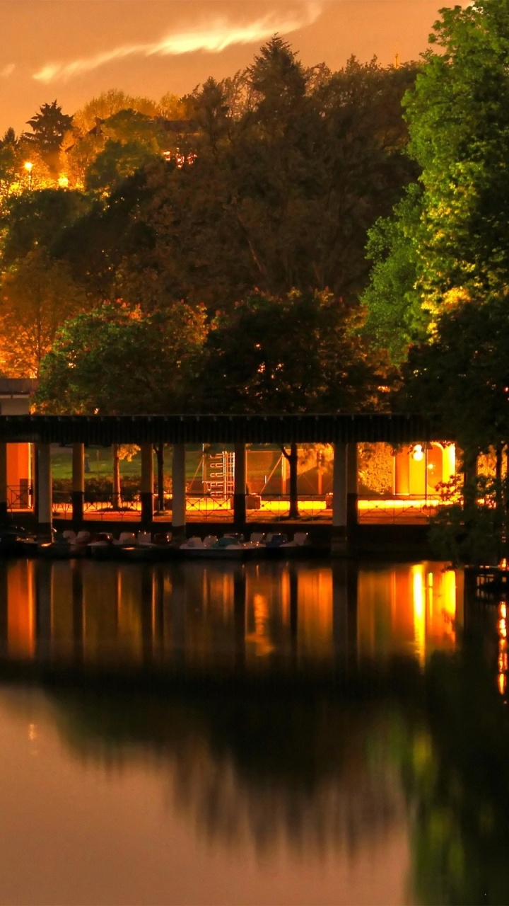 Green Trees Beside Body of Water During Daytime. Wallpaper in 720x1280 Resolution