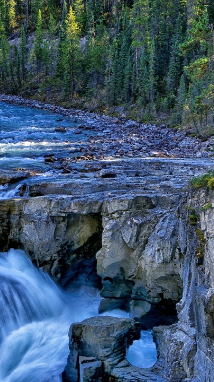 Water Falls in The Middle of The Forest. Wallpaper in 720x1280 Resolution