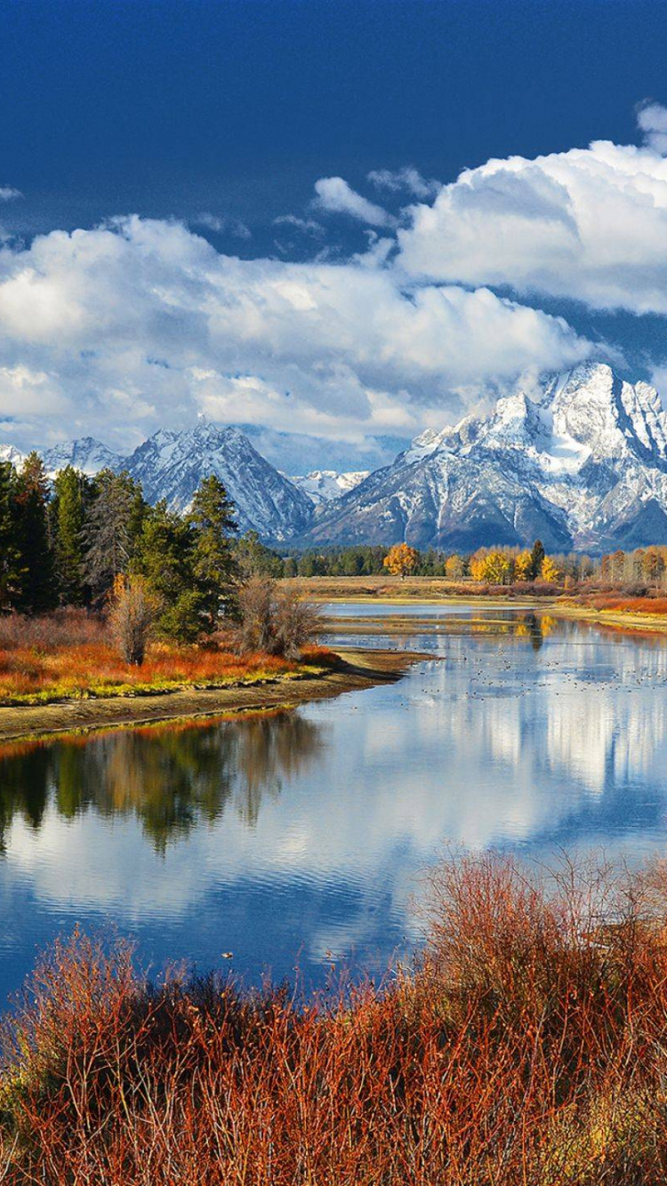 反射, 性质, 荒野, 饮用水, 的信息 壁纸 750x1334 允许