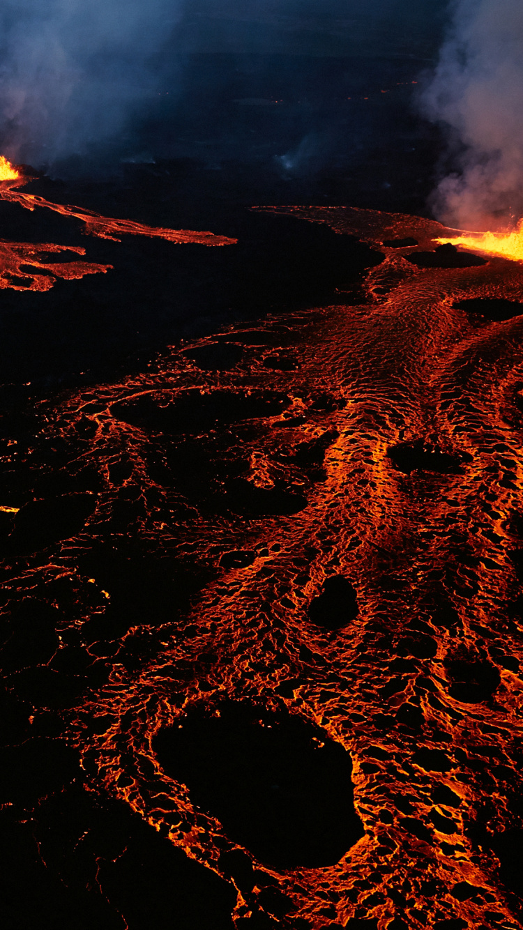 Fuego en Medio Del Bosque. Wallpaper in 750x1334 Resolution