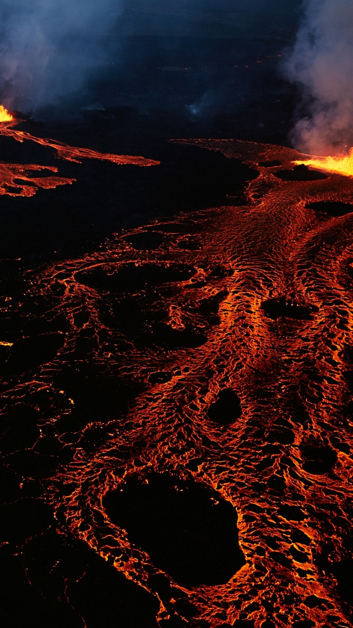 Feuer Mitten im Wald. Wallpaper in 720x1280 Resolution