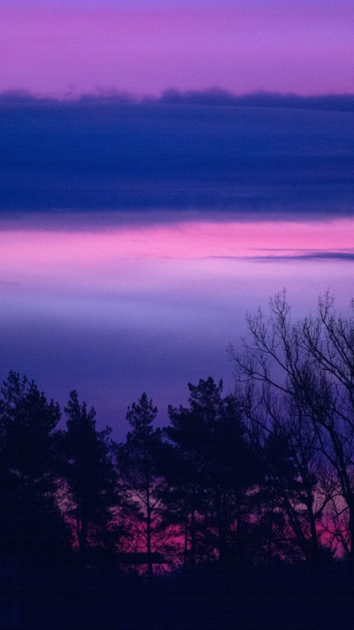 Nature, Purple, Horizon, Violette, Blue. Wallpaper in 720x1280 Resolution