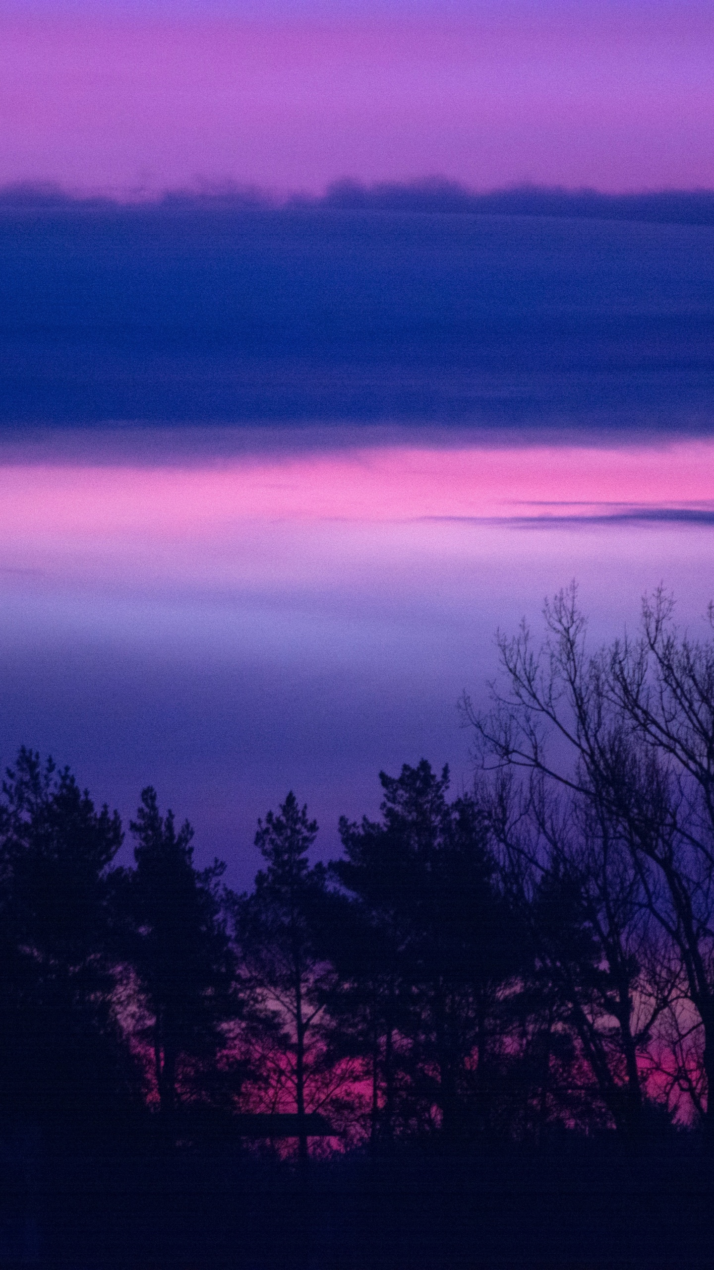 Sonnenuntergang, Natur, Purpur, Horizont, Veilchen. Wallpaper in 1440x2560 Resolution