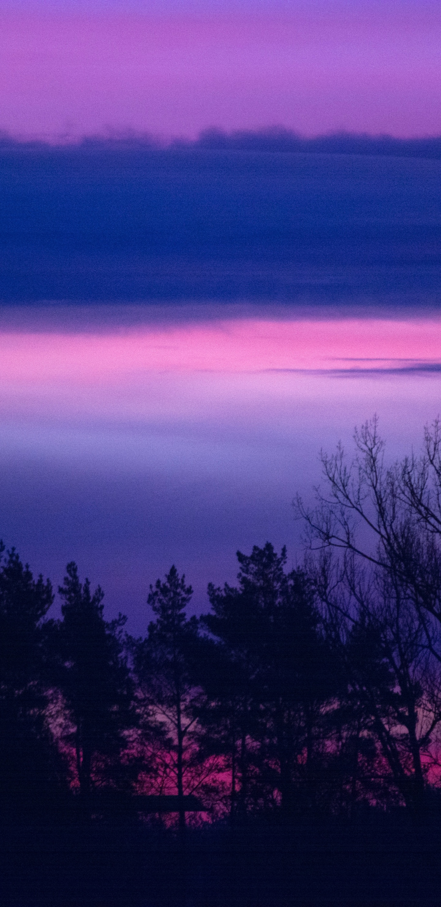 Sonnenuntergang, Natur, Purpur, Horizont, Veilchen. Wallpaper in 1440x2960 Resolution