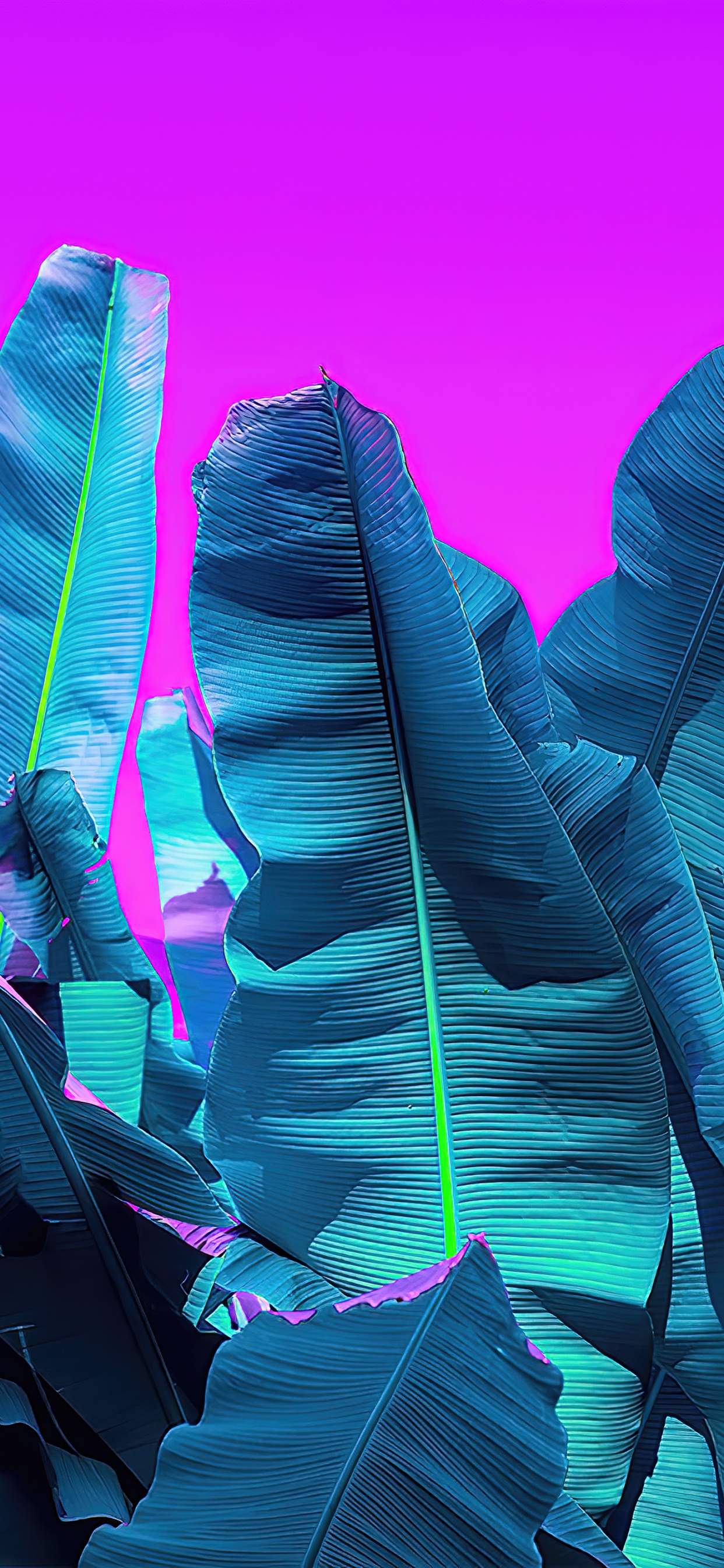 Friseursalon Rio, Azure, Purpur, Pink, Veilchen. Wallpaper in 1242x2688 Resolution