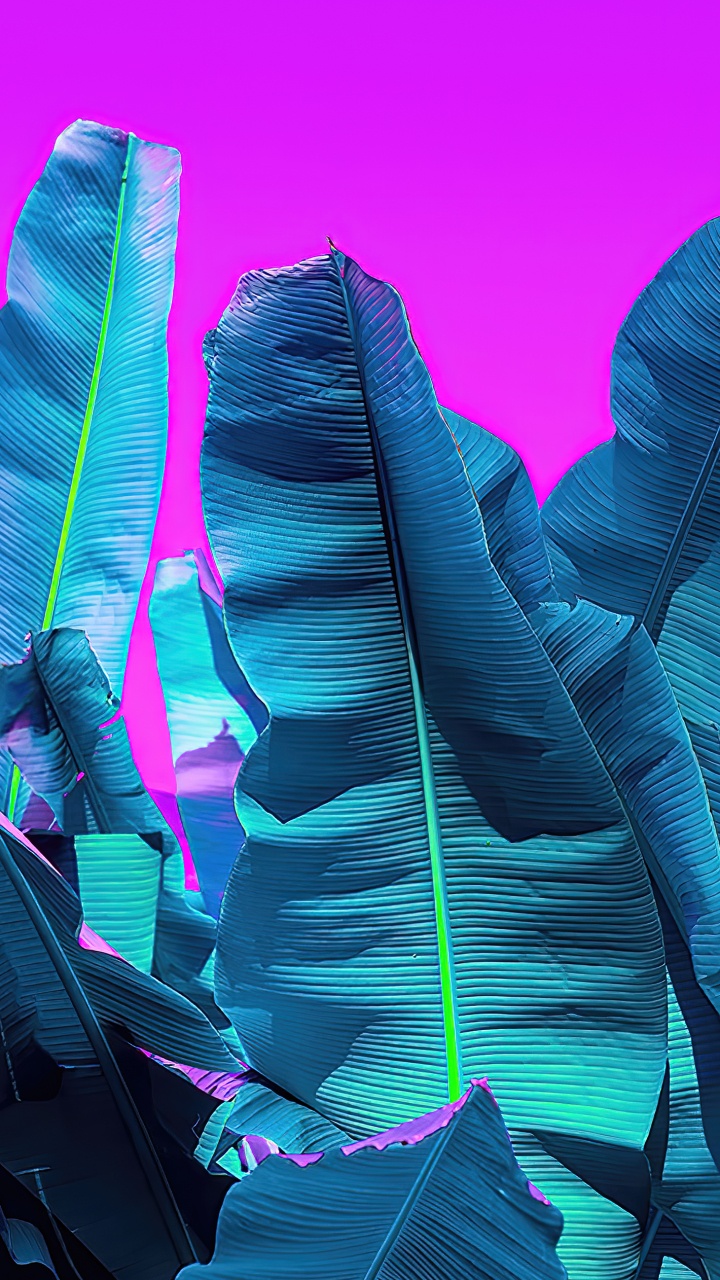 Peluquería Rio, Azure, Morado, Rosa, Violeta. Wallpaper in 720x1280 Resolution