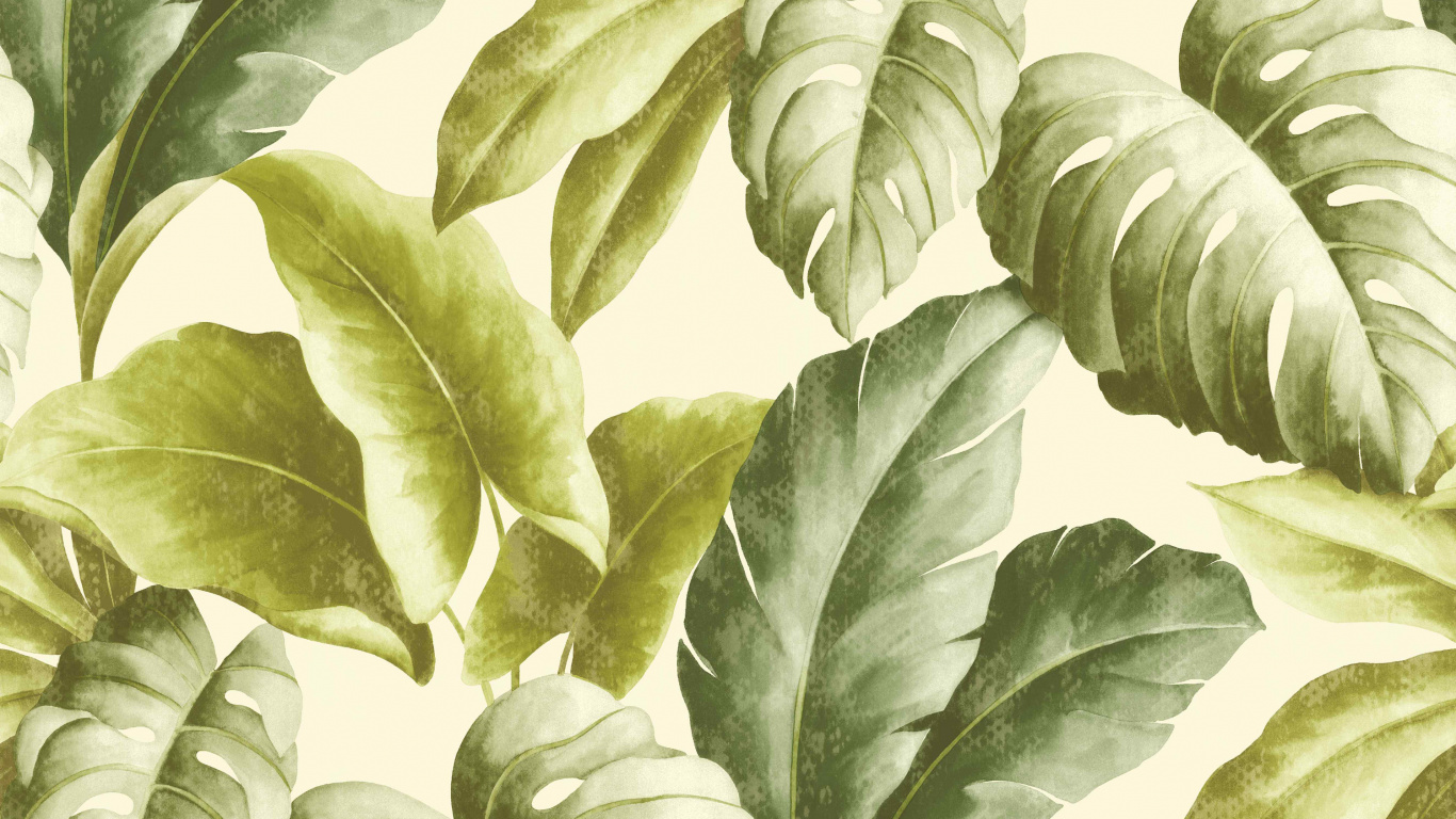 Planta de Hojas Verdes y Blancas. Wallpaper in 1366x768 Resolution