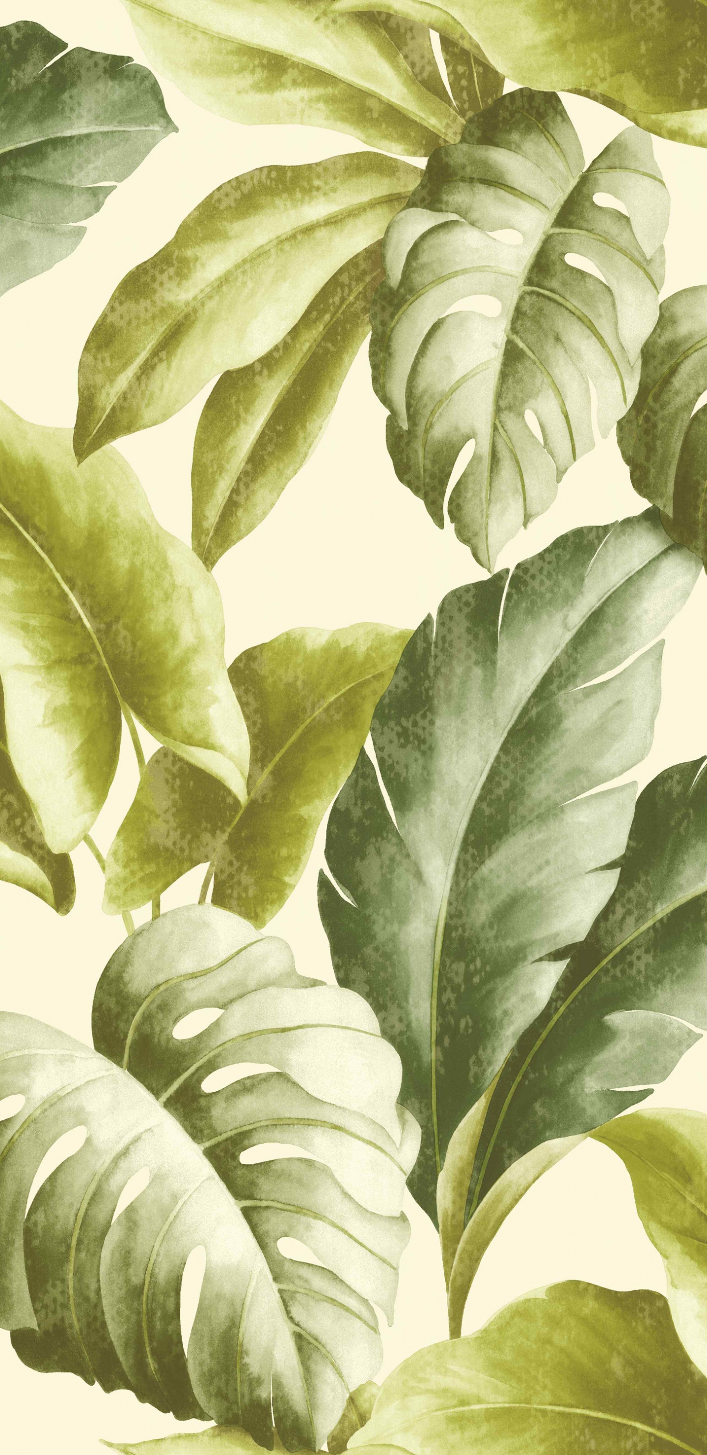 Planta de Hojas Verdes y Blancas. Wallpaper in 1440x2960 Resolution