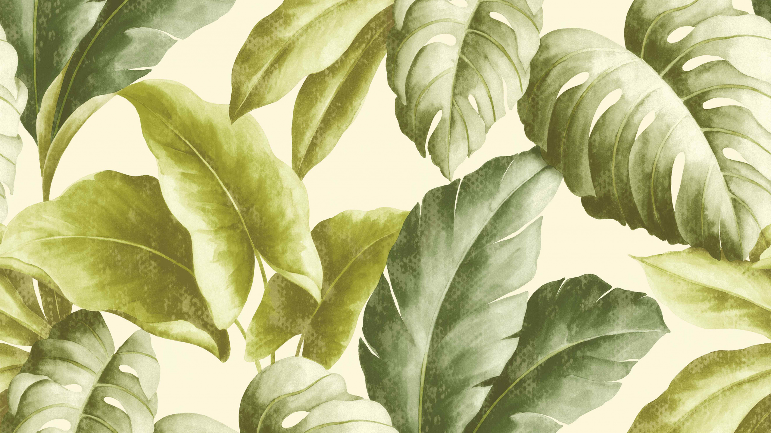 Planta de Hojas Verdes y Blancas. Wallpaper in 2560x1440 Resolution