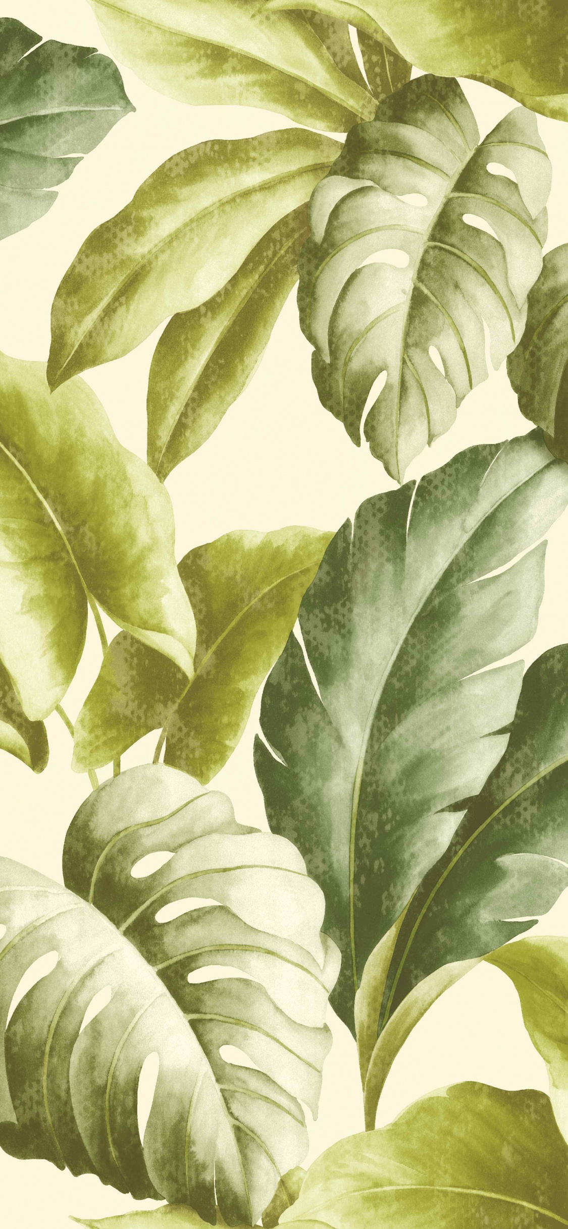 Plante à Feuilles Vertes et Blanches. Wallpaper in 1125x2436 Resolution