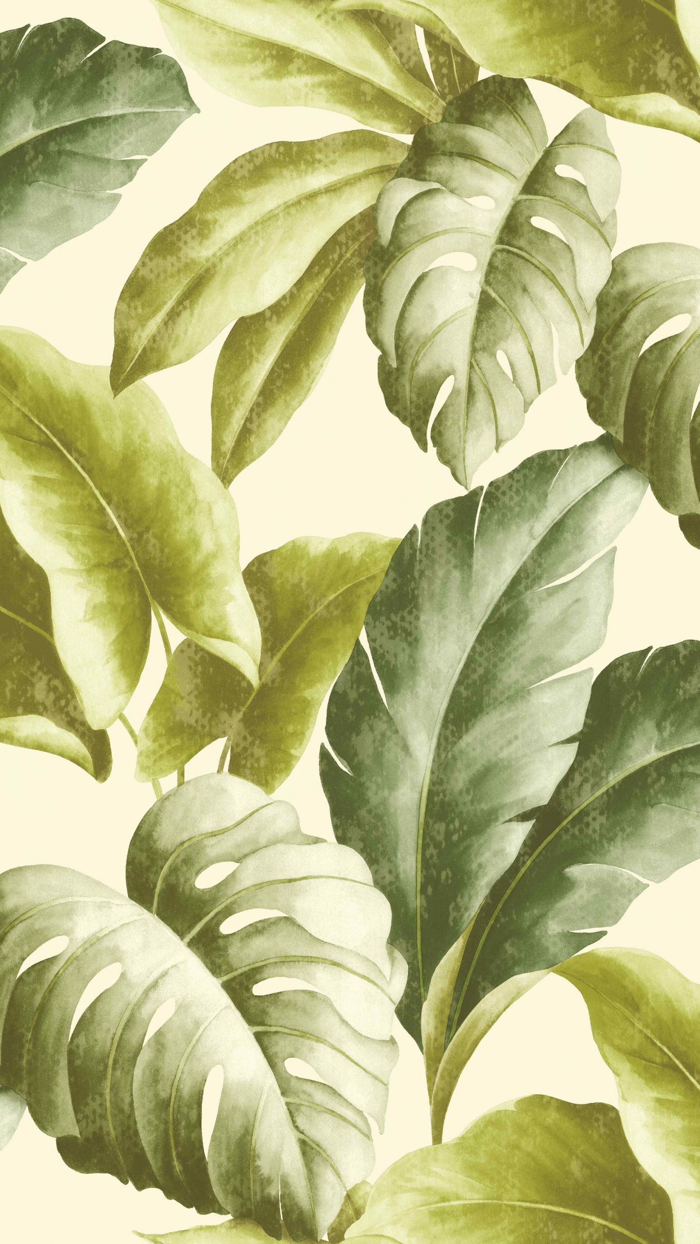 Plante à Feuilles Vertes et Blanches. Wallpaper in 1440x2560 Resolution