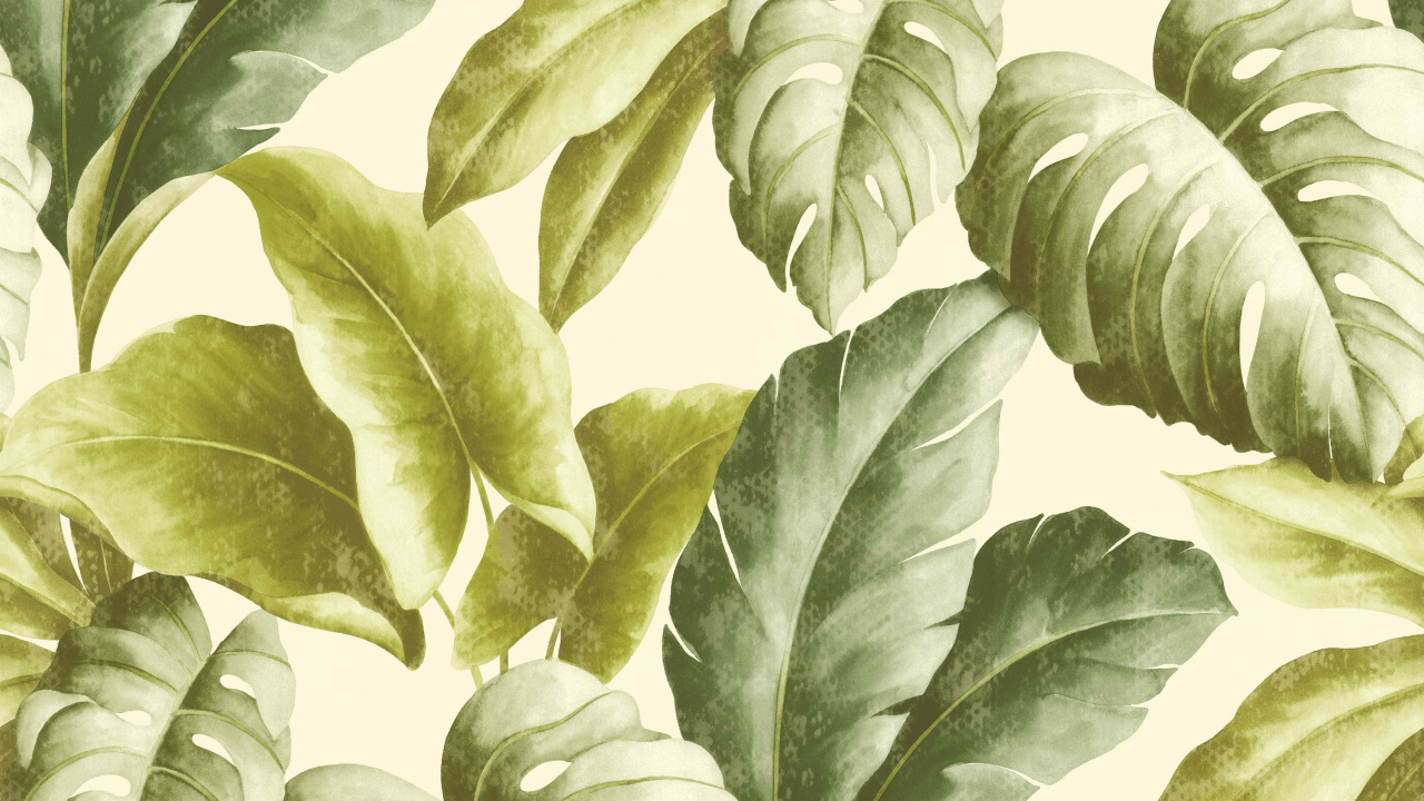 纹理, 工厂, 叶蔬菜, 植物干 壁纸 1280x720 允许