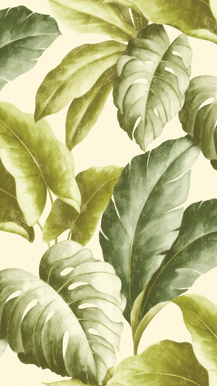 纹理, 工厂, 叶蔬菜, 植物干 壁纸 720x1280 允许