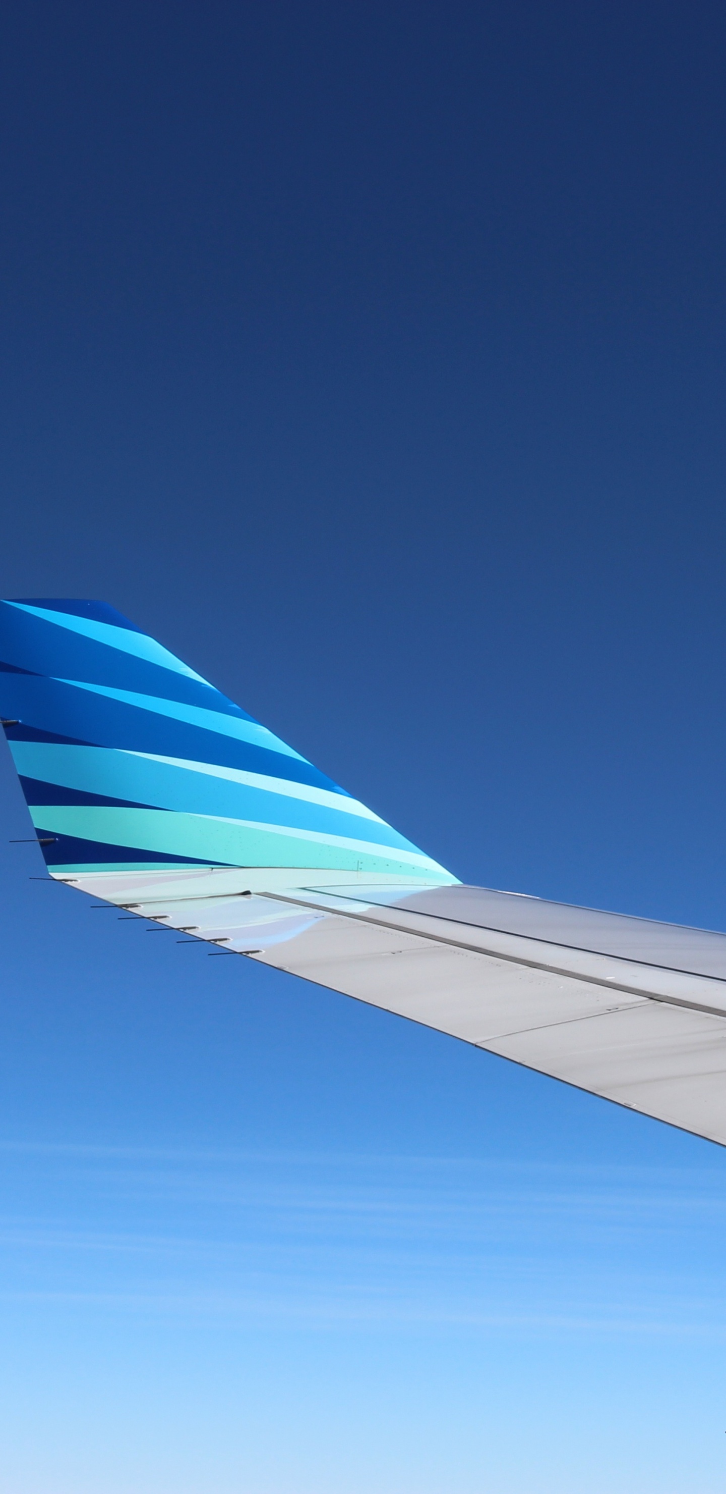 White and Blue Airplane Wing During Daytime. Wallpaper in 1440x2960 Resolution