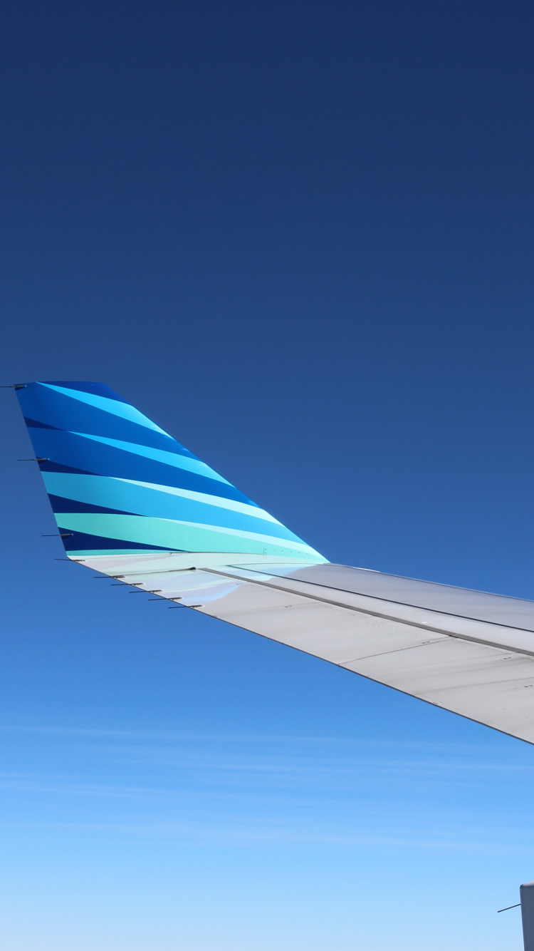 White and Blue Airplane Wing During Daytime. Wallpaper in 750x1334 Resolution