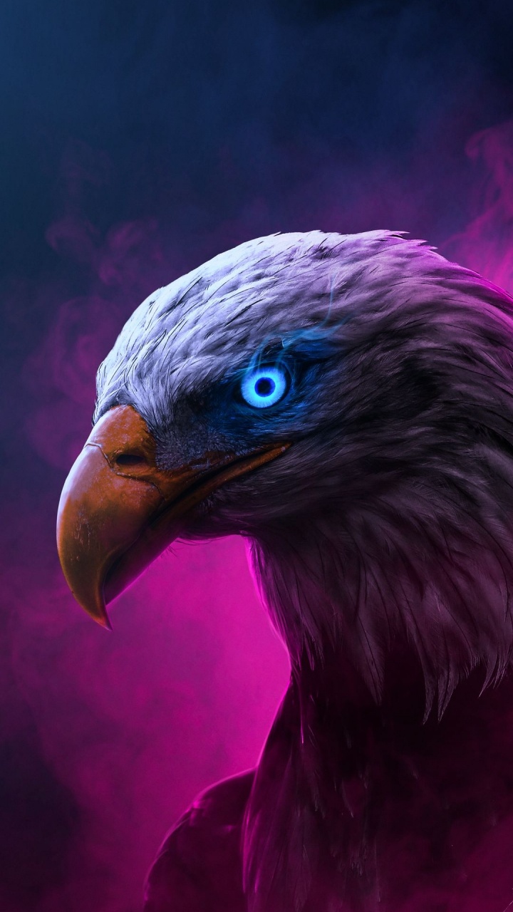 Beak, Wisgoon - Social Network, Vulture, Birds, Human. Wallpaper in 720x1280 Resolution