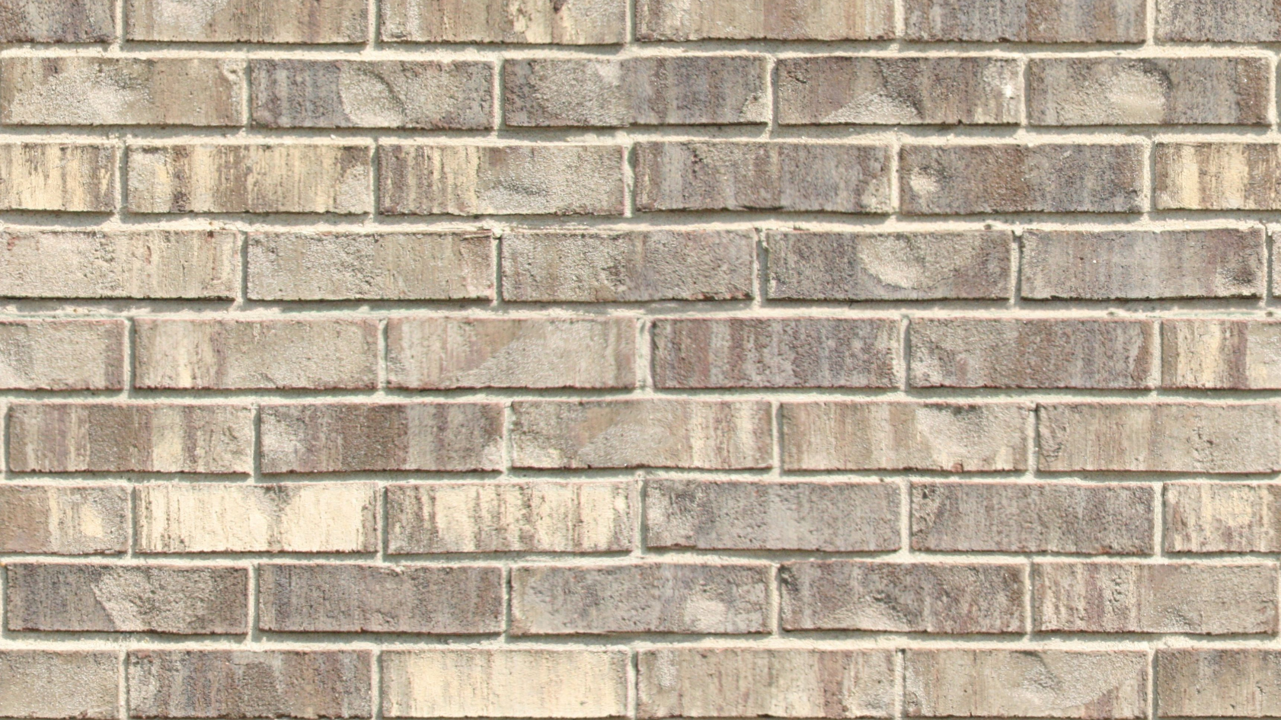 Mur de Briques Marron et Blanc. Wallpaper in 2560x1440 Resolution