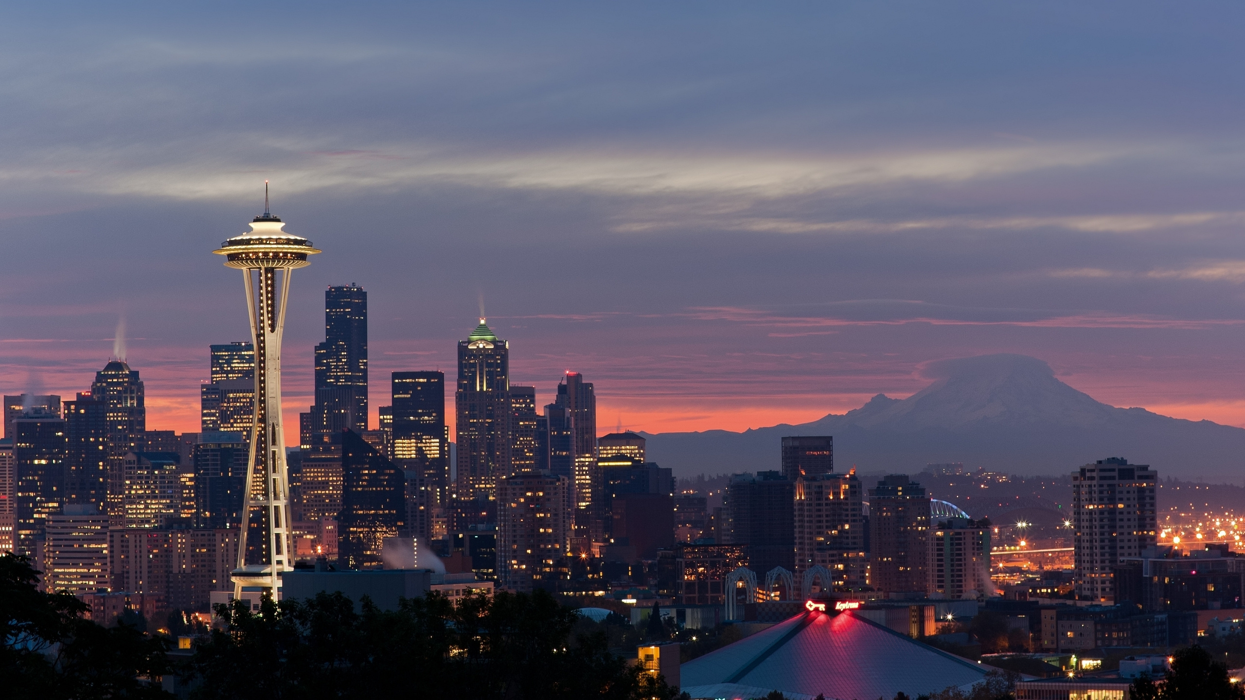 Skyline Der Stadt Bei Nacht Night. Wallpaper in 2560x1440 Resolution
