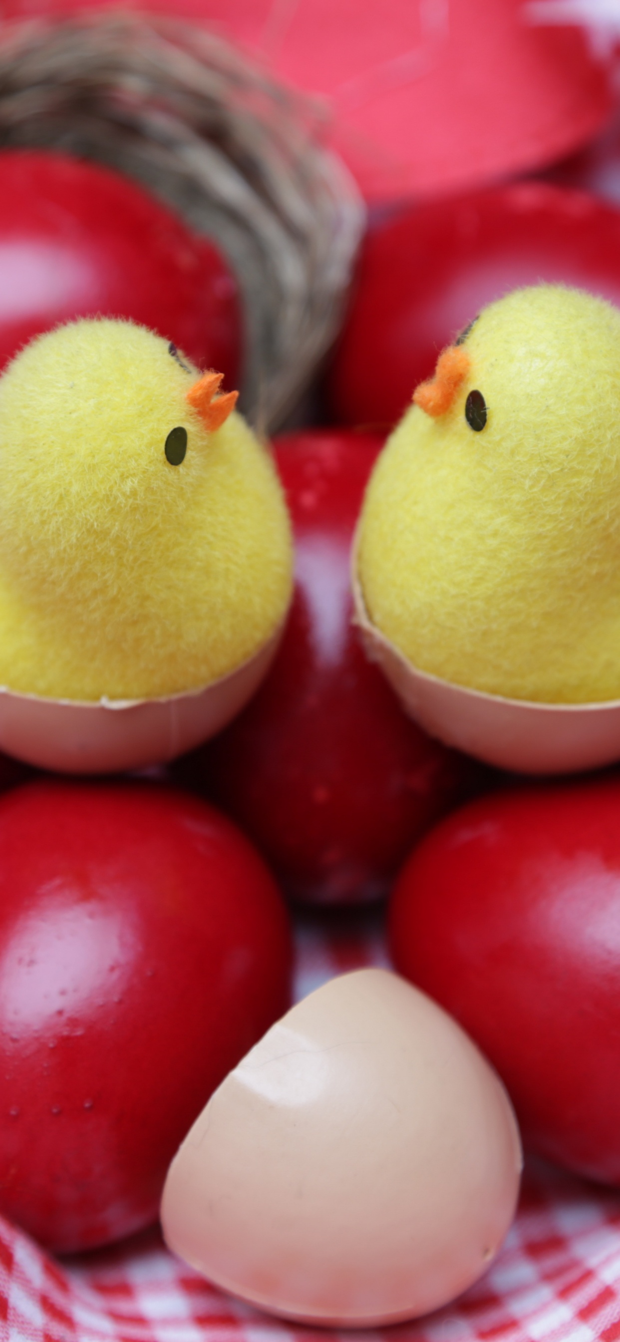 Easter Egg, Egg, Food, Fruit, Cuisine. Wallpaper in 1242x2688 Resolution